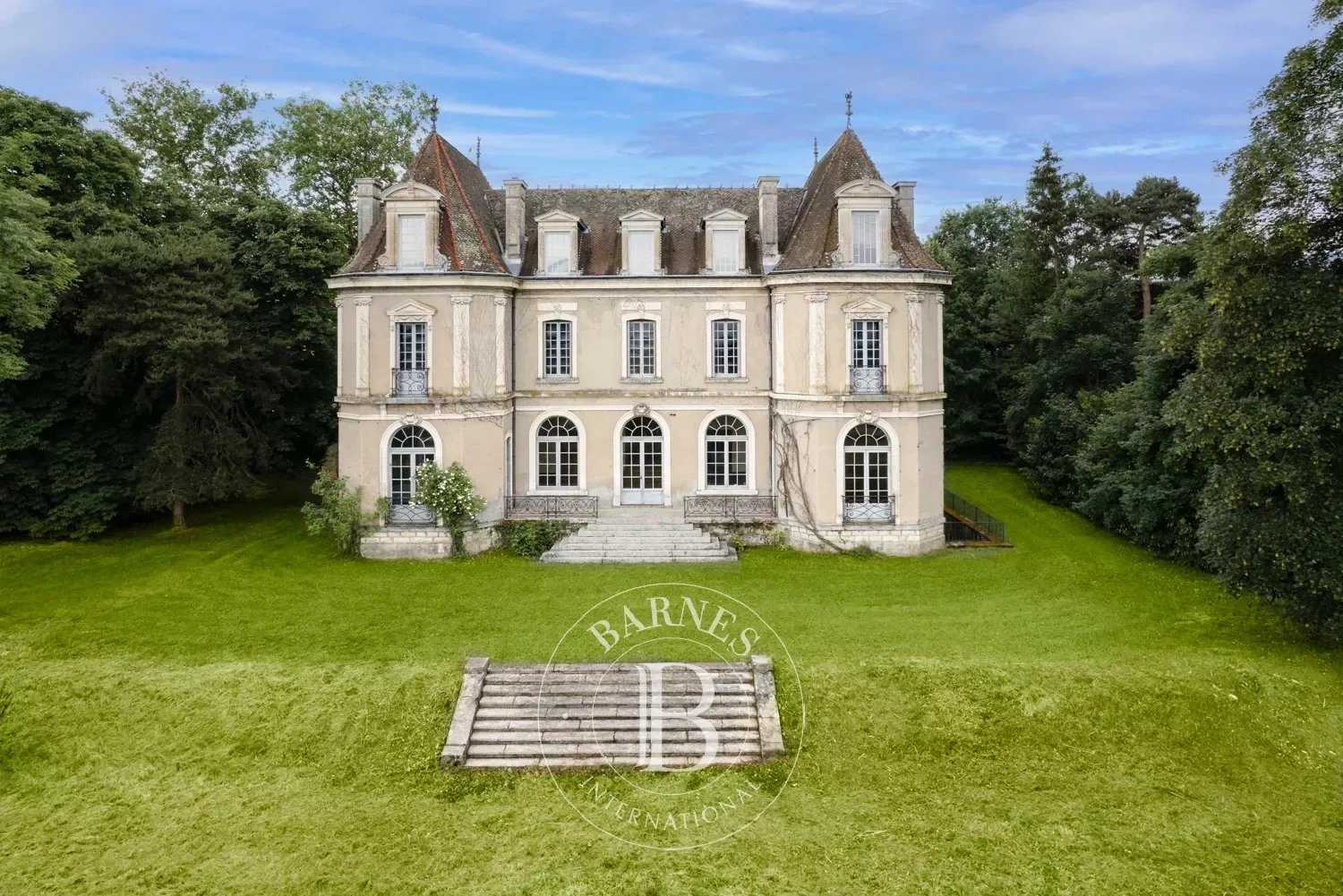 Viry  - Château 12 Pièces 6 Chambres