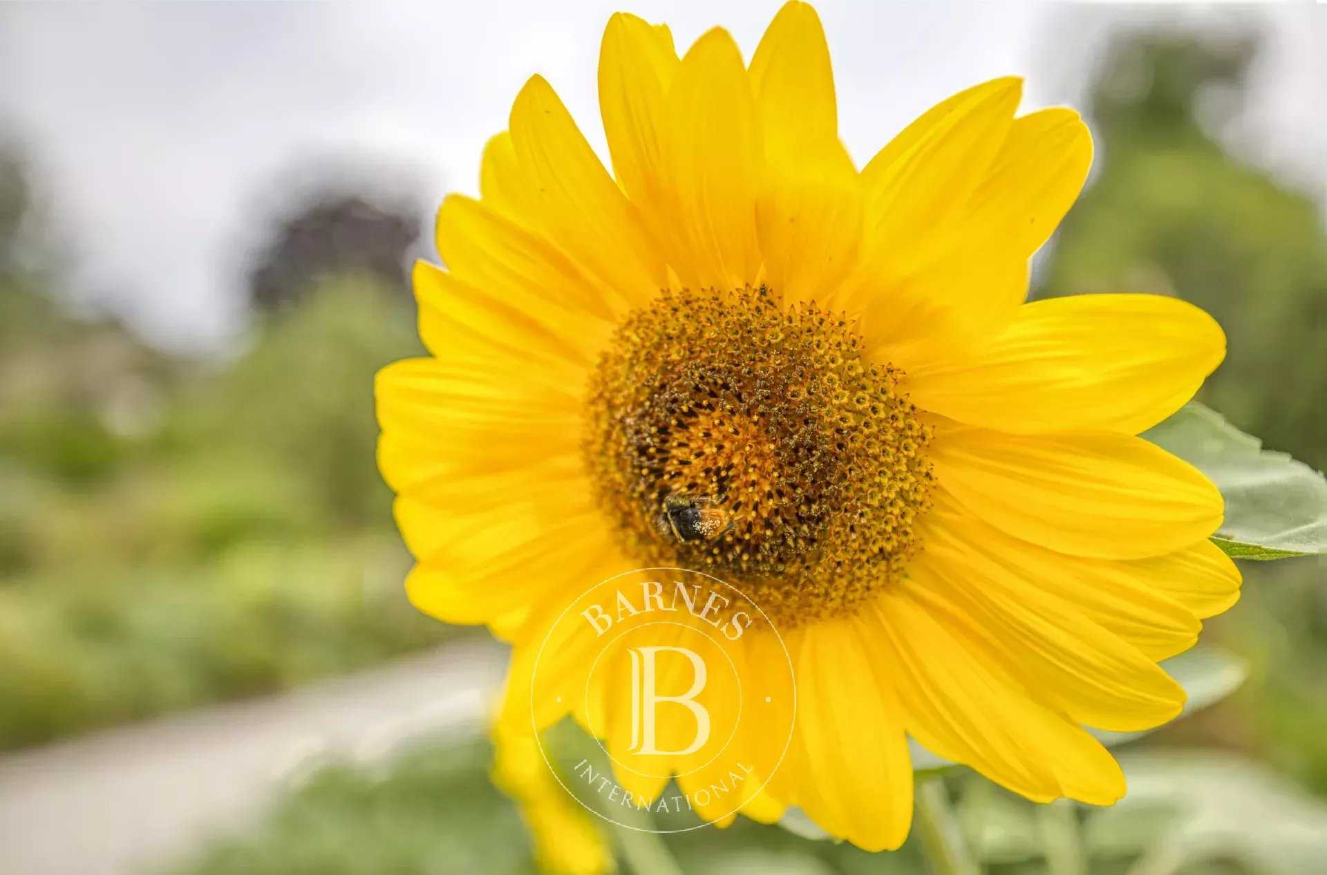 Divonne-les-Bains  - Villa 5 Bedrooms