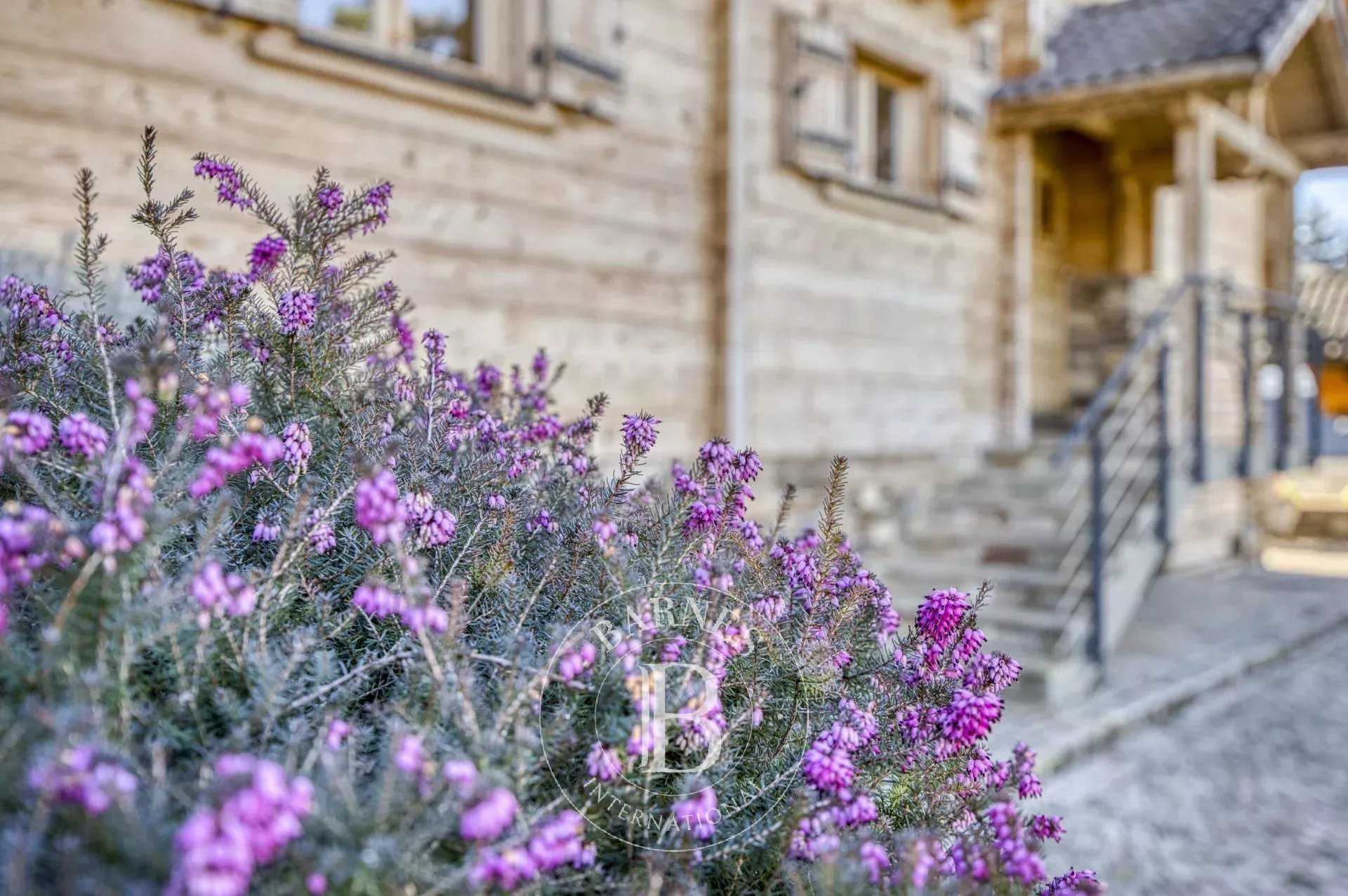 Chalet Vétraz-Monthoux  -  ref 86755069 (picture 3)