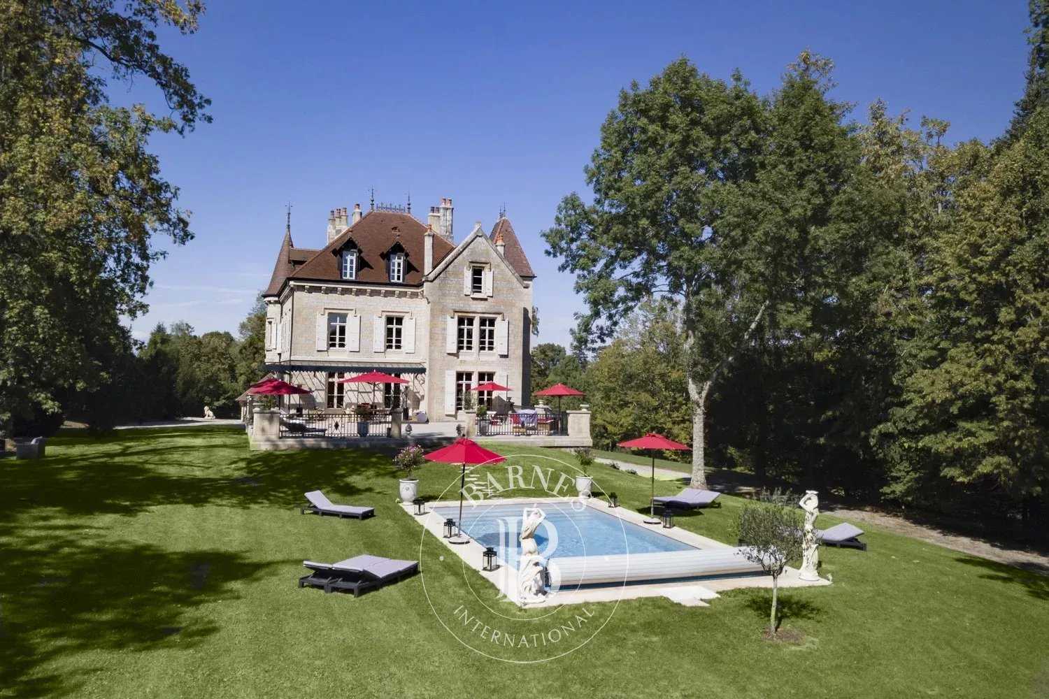 Château Arbois  -  ref 4292963 (picture 1)
