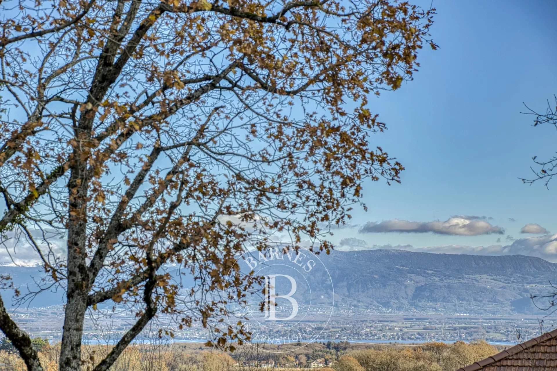 Grilly  - Villa 5 Bedrooms - picture 2