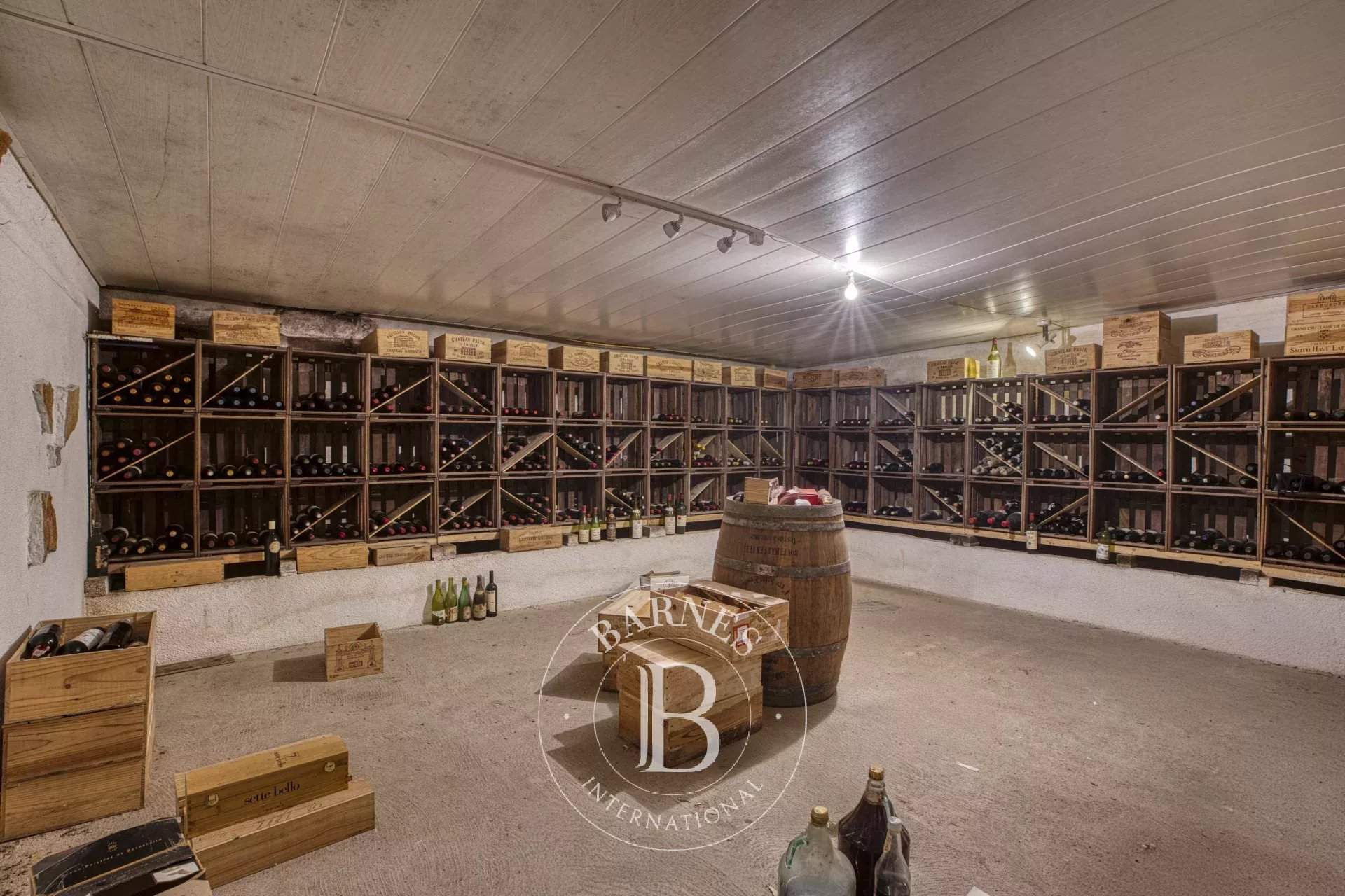 Cruseilles  - House 4 Bedrooms - picture 5