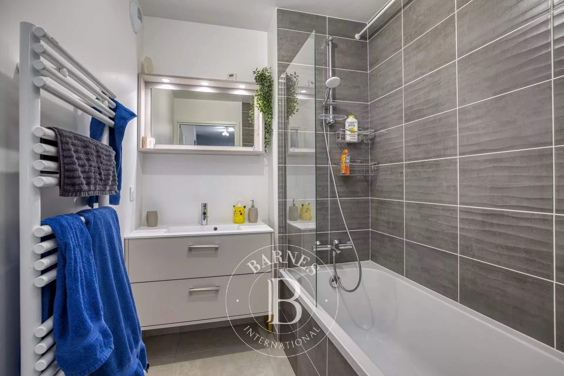 Collonges-sous-Salève  - Appartement 4 Pi&egrave;ces 3 Chambres - picture 8