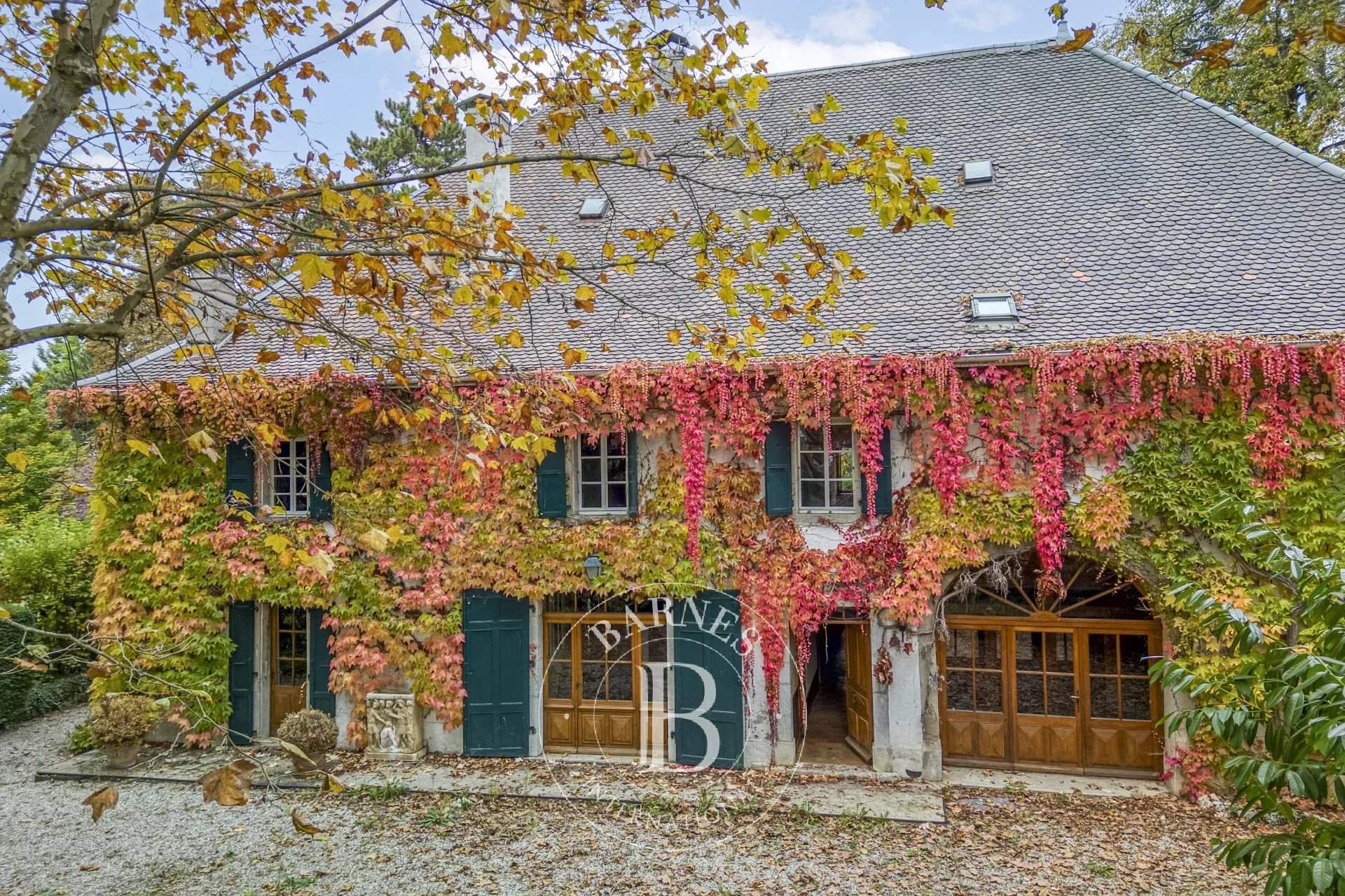 Fillinges  - Property 5 Bedrooms - picture 1