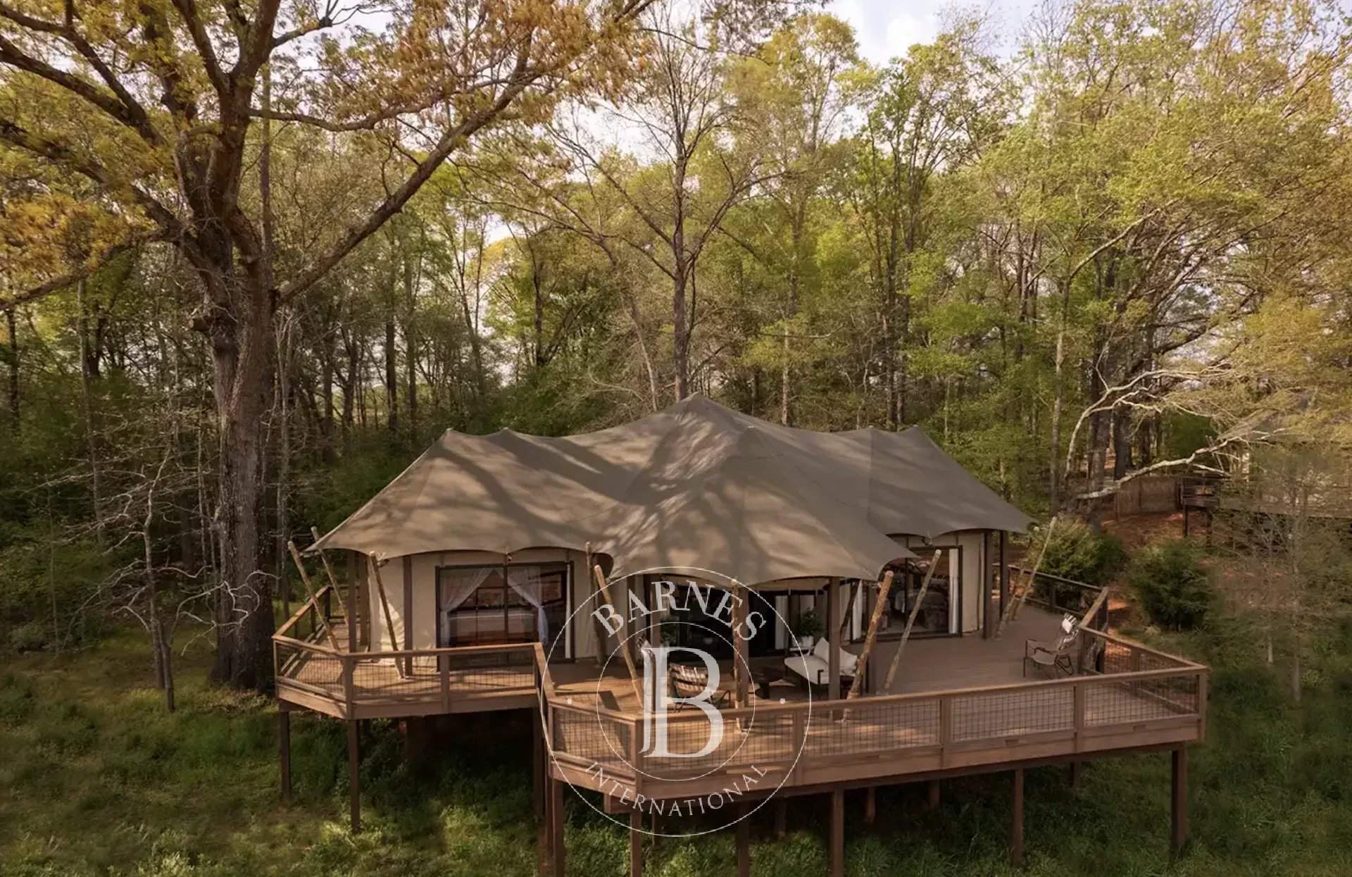 Canino  - Building land  - picture 7