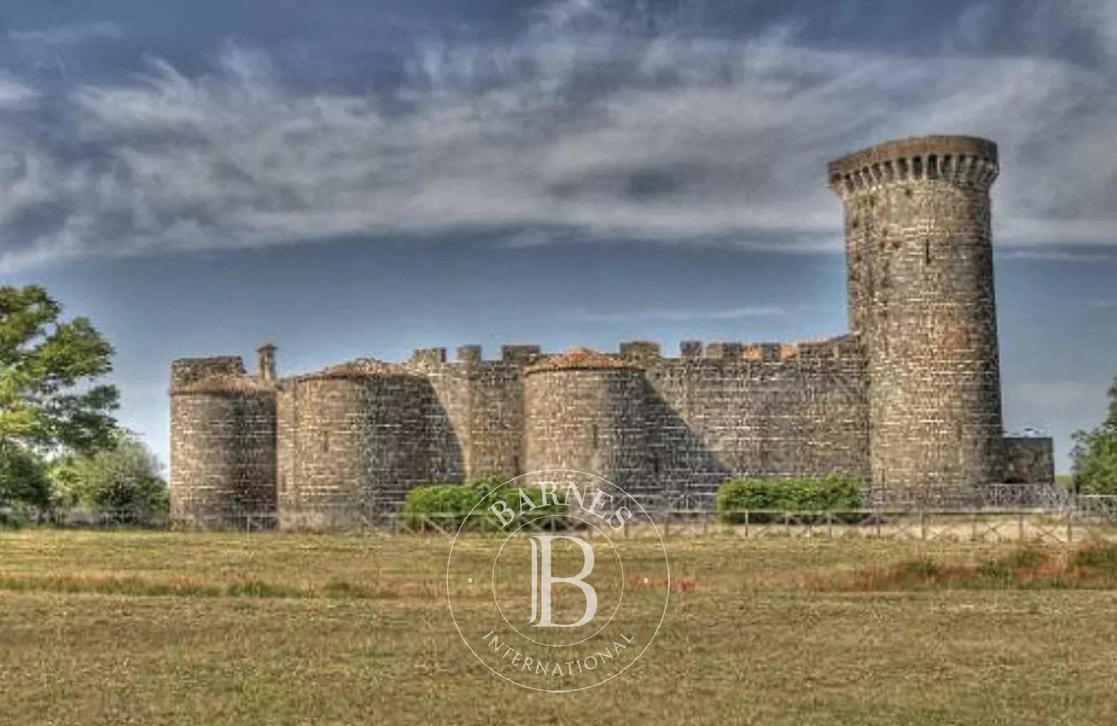 Canino  - Building land  - picture 15