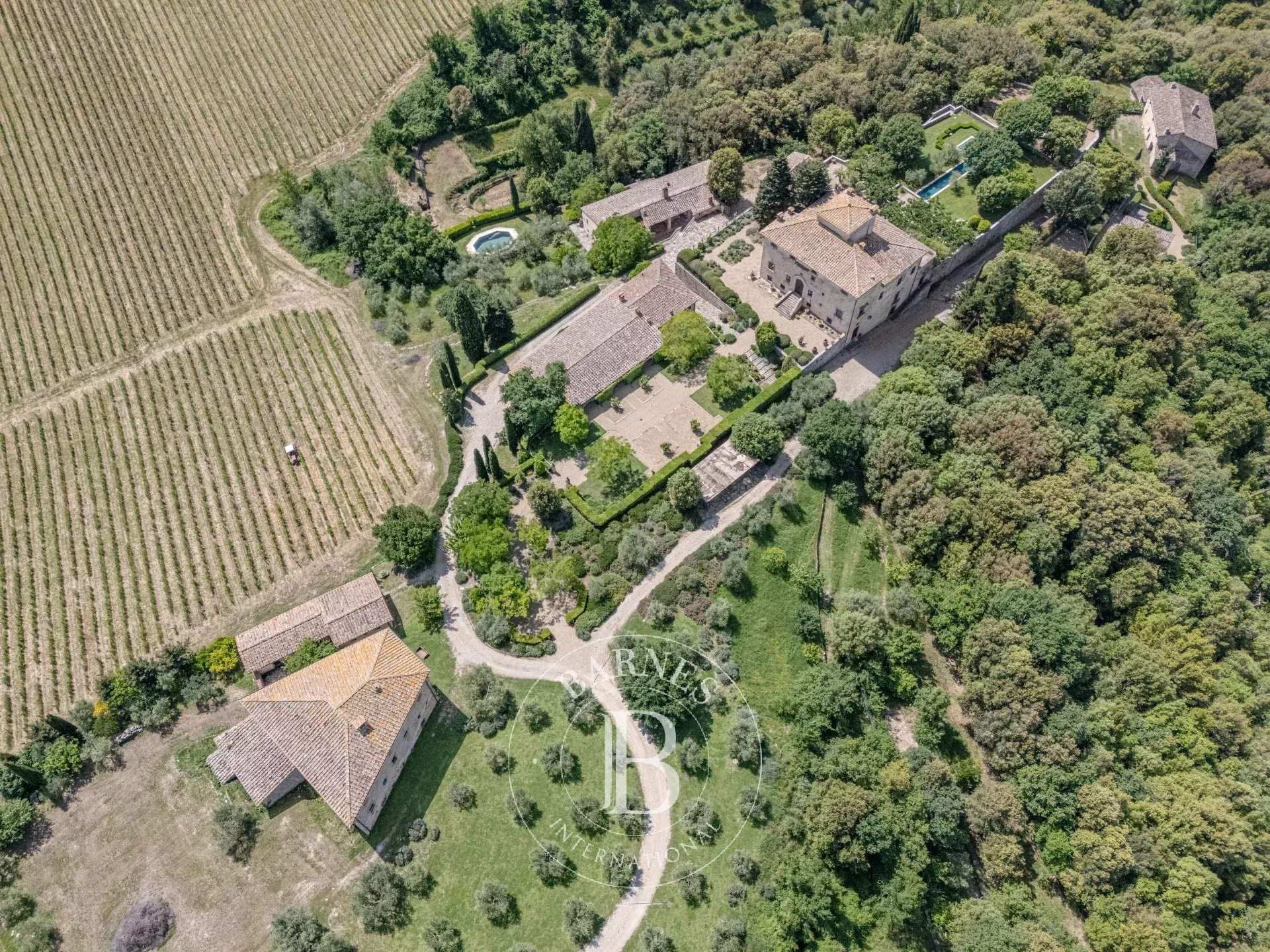 Gaiole in Chianti  - Propriété 45 Pièces - picture 6