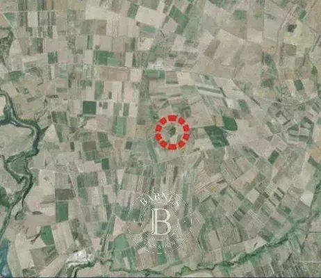 Canino  - Building land  - picture 11