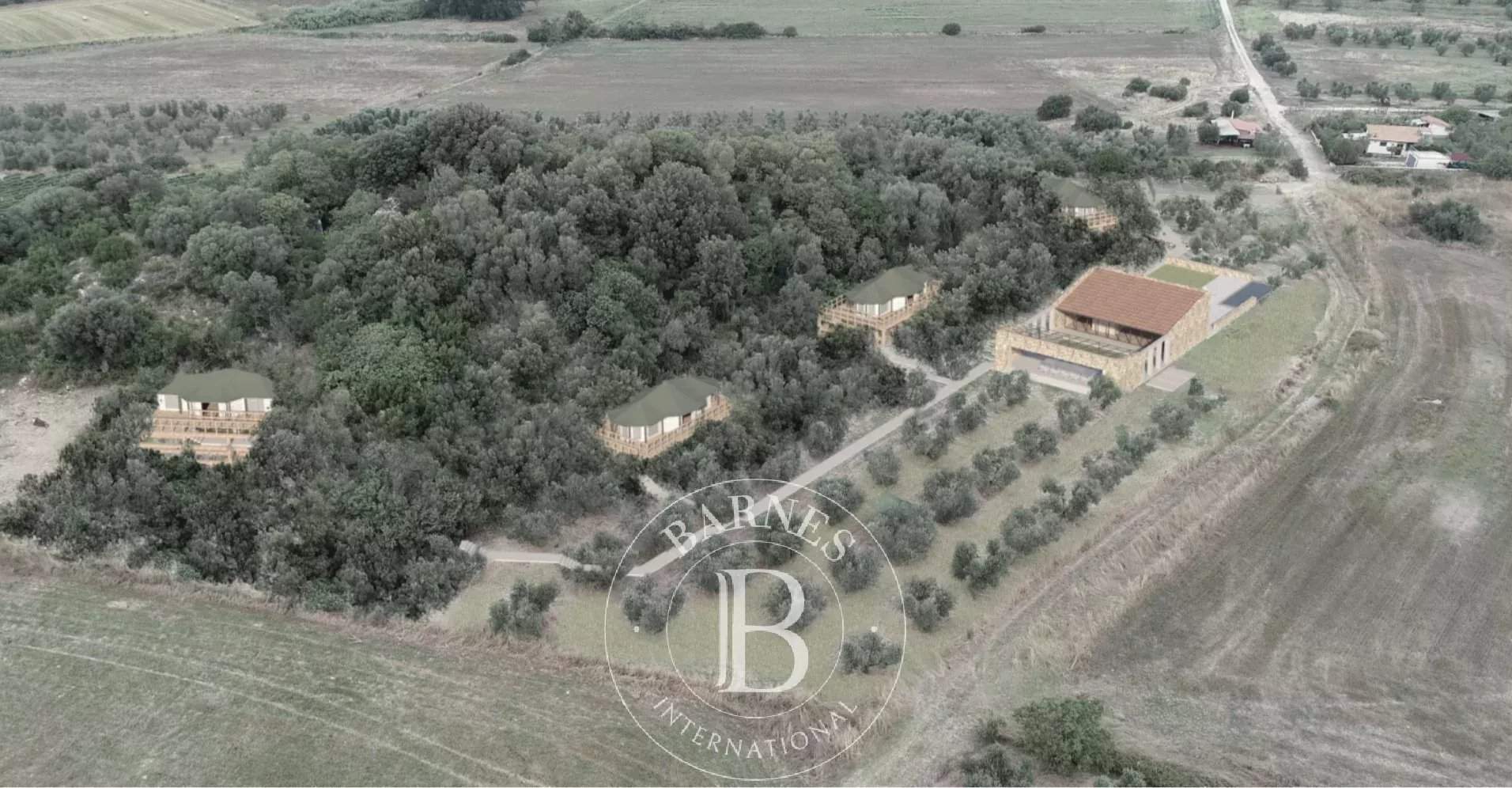 Canino  - Building land  - picture 13