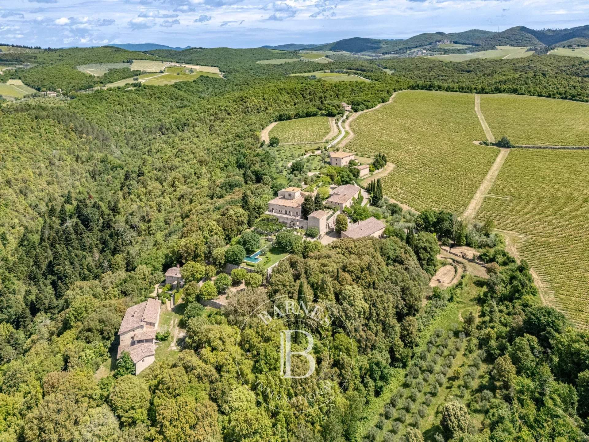 Gaiole in Chianti  - Propriété 45 Pièces - picture 4