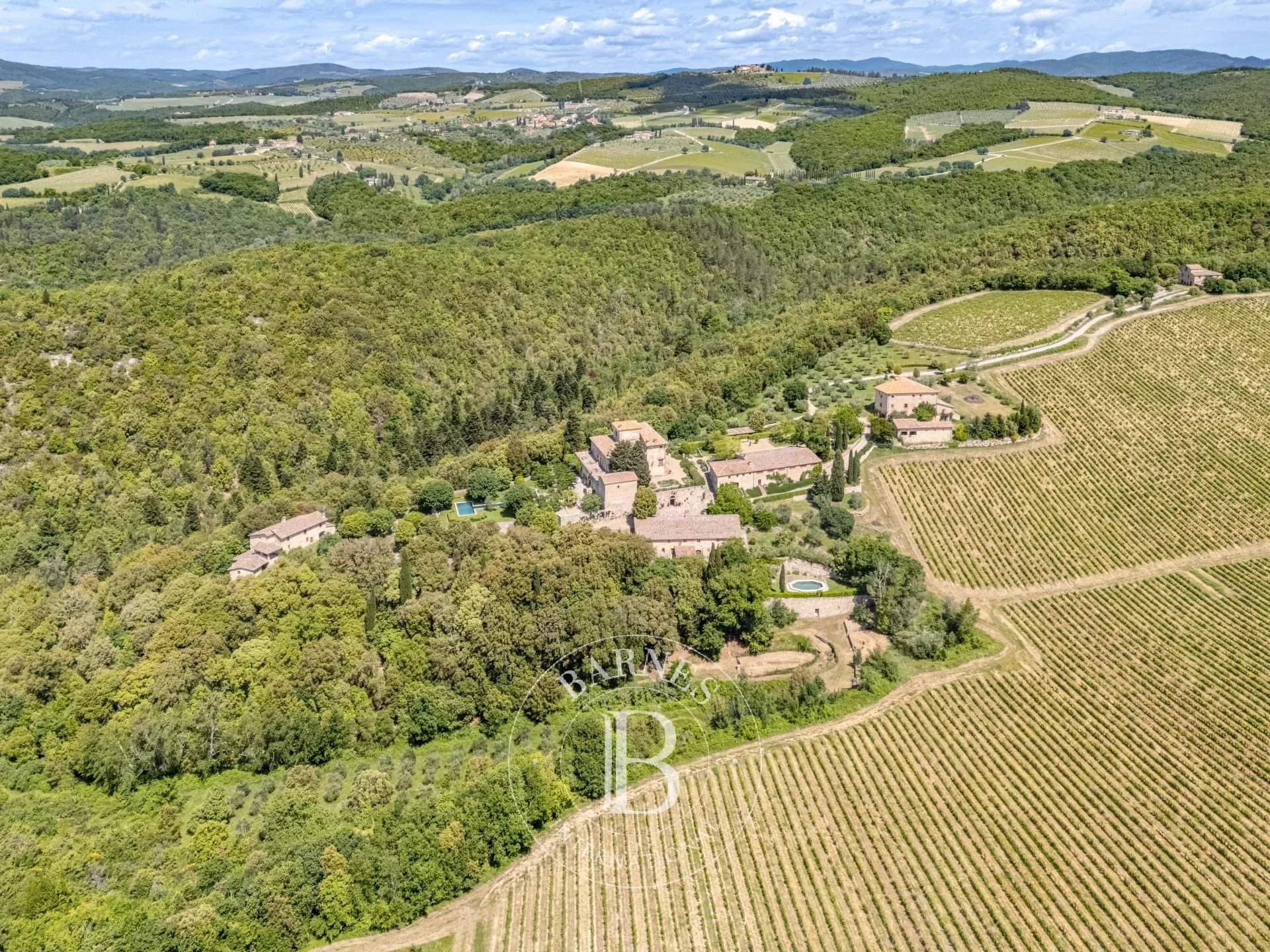 Gaiole in Chianti  - Propriété 45 Pièces - picture 5