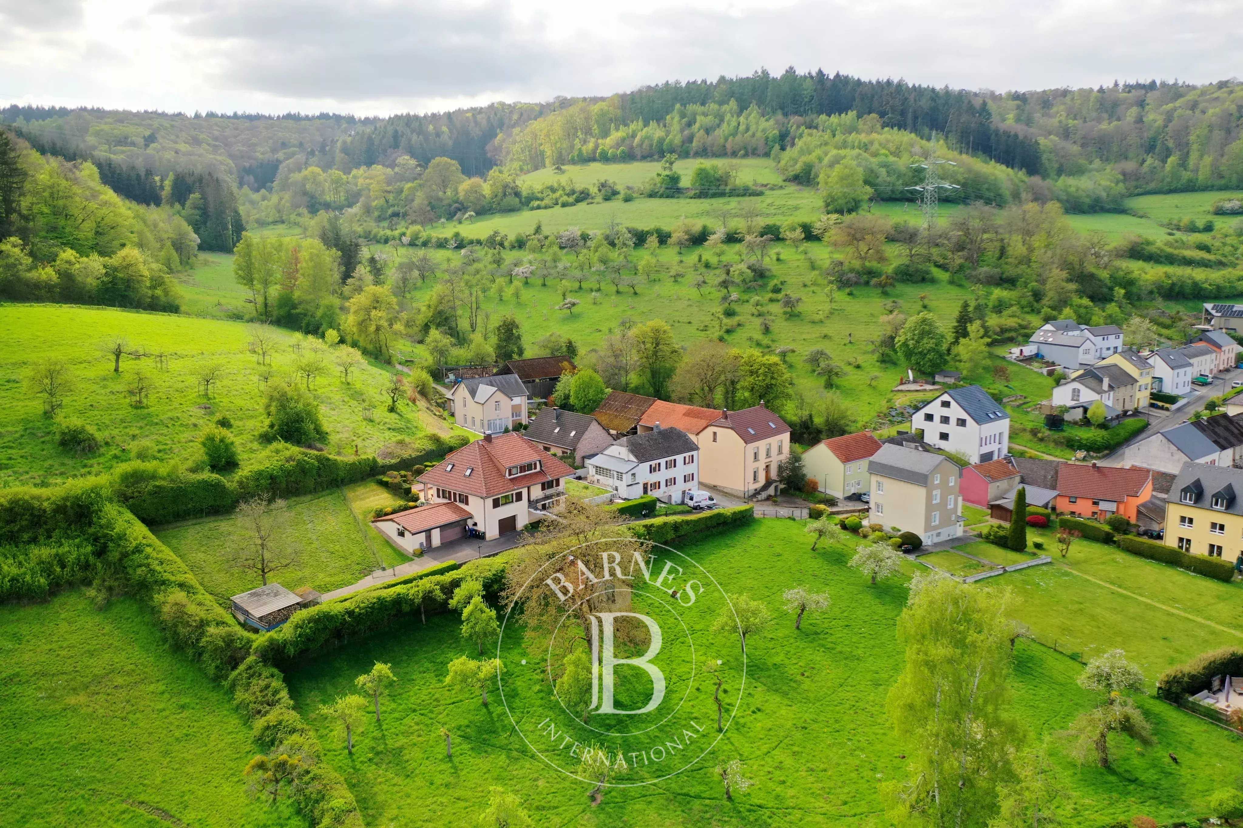 Maison Prettingen  -  ref 85865407 (picture 1)