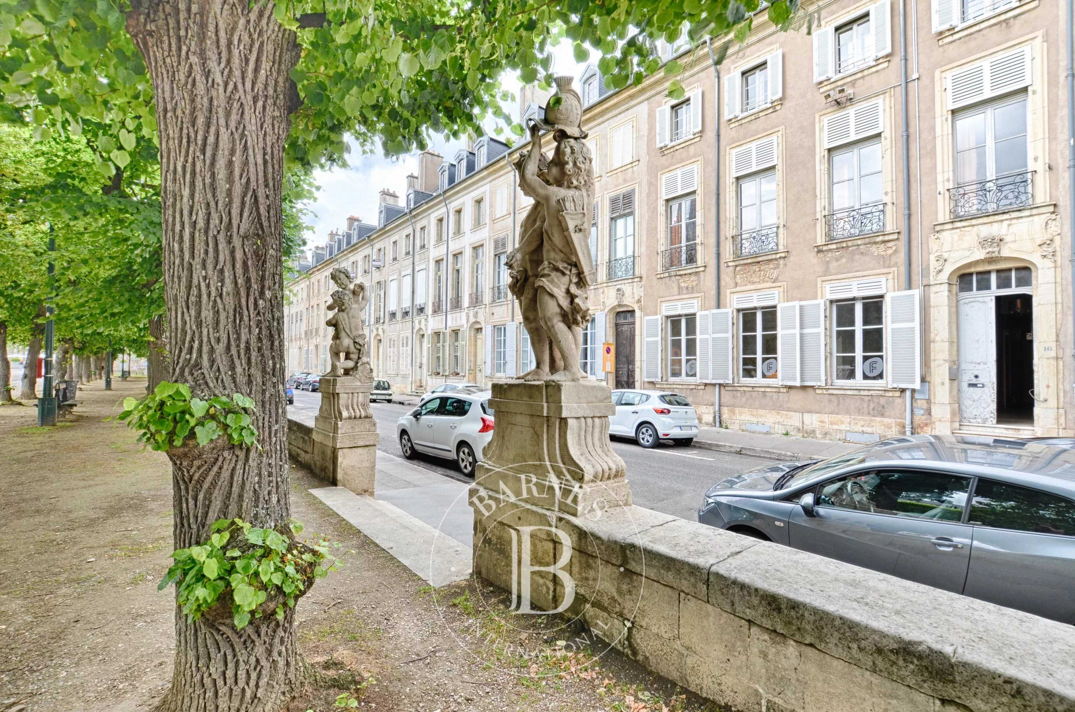 Hôtel particulier Nancy  -  ref 85990131 (picture 2)