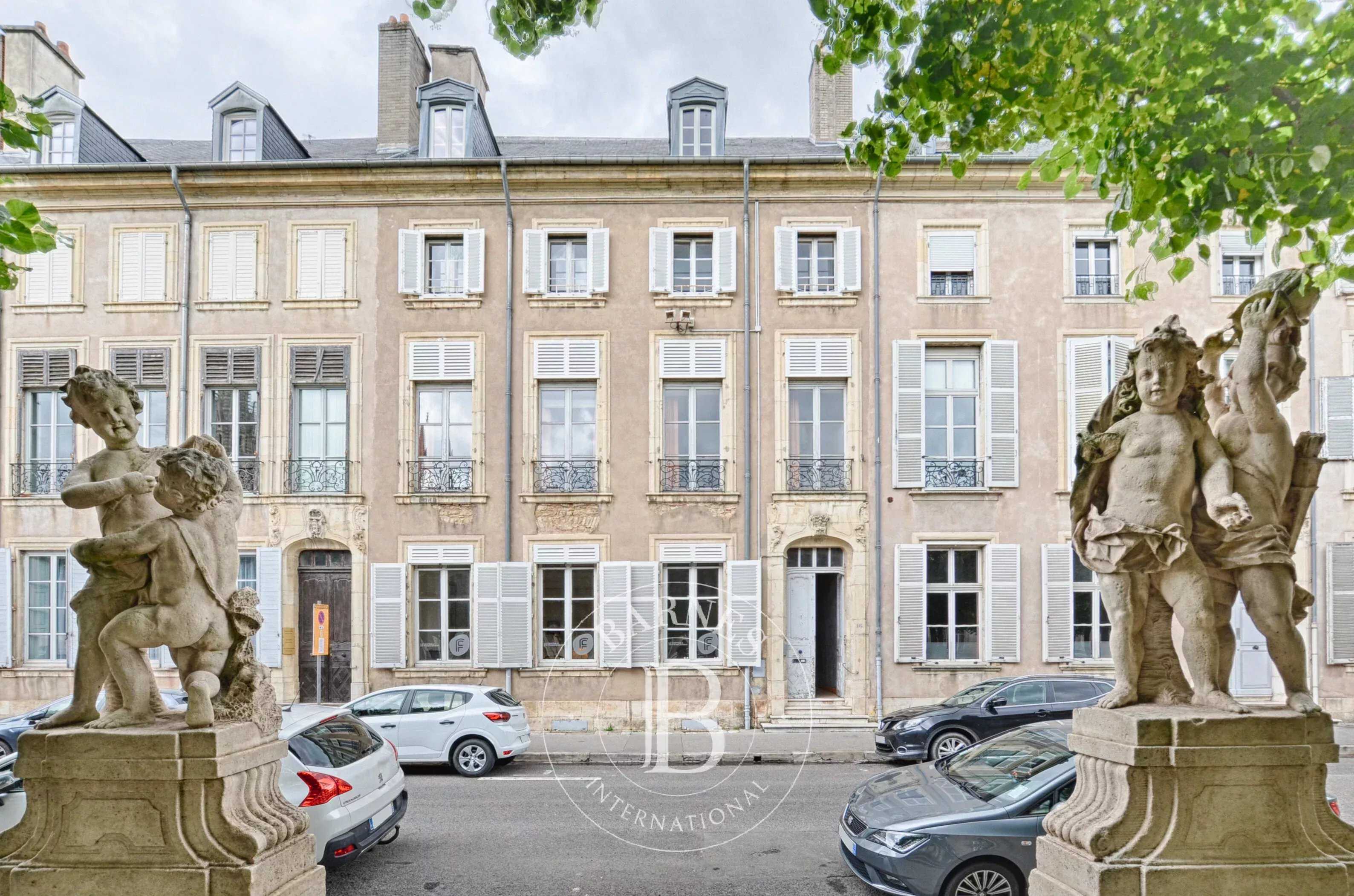 Hôtel particulier Nancy  -  ref 85990131 (picture 1)