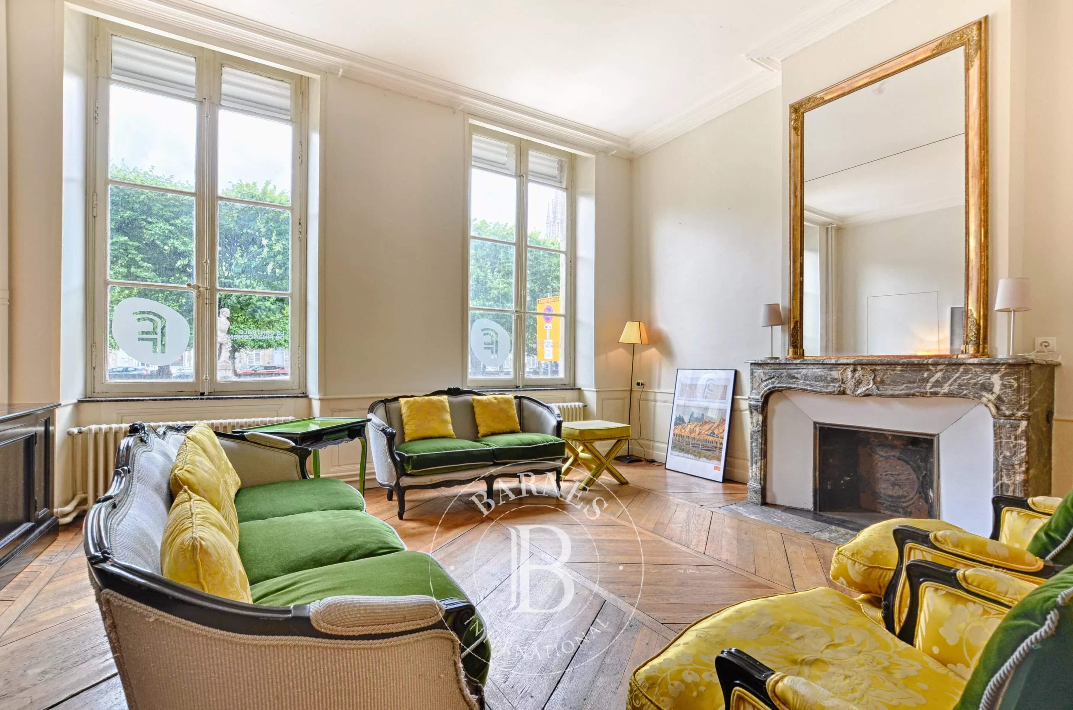 Nancy  - Hôtel particulier 11 Pi&egrave;ces 6 Chambres - picture 7