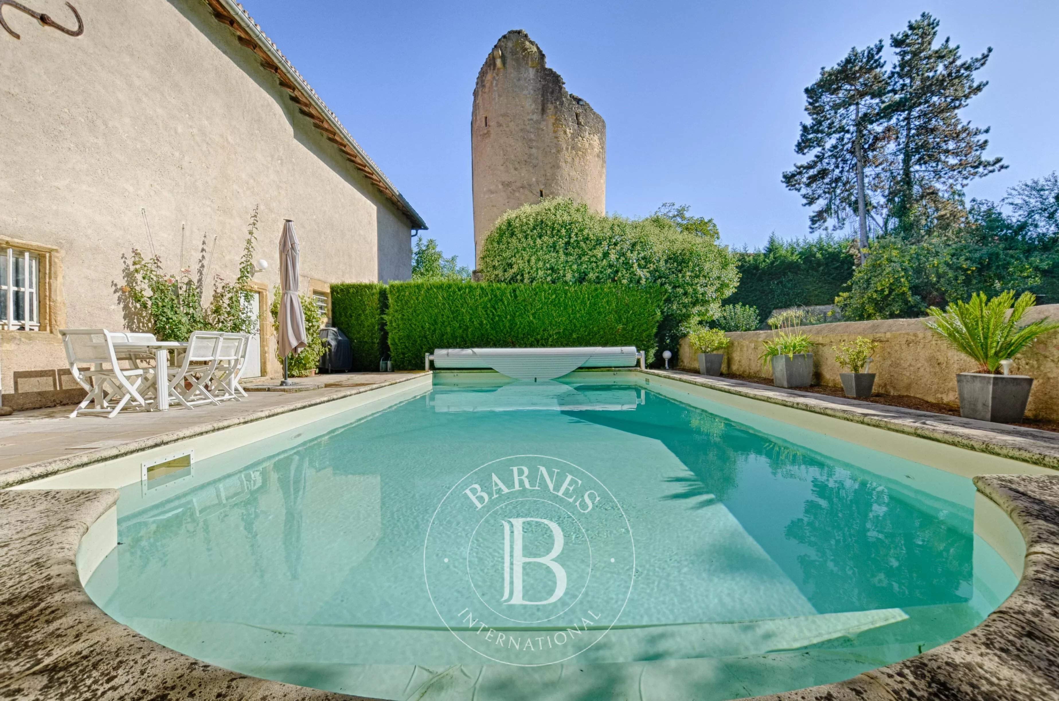 Lorry-Mardigny  - Castle 6 Bedrooms - picture 6