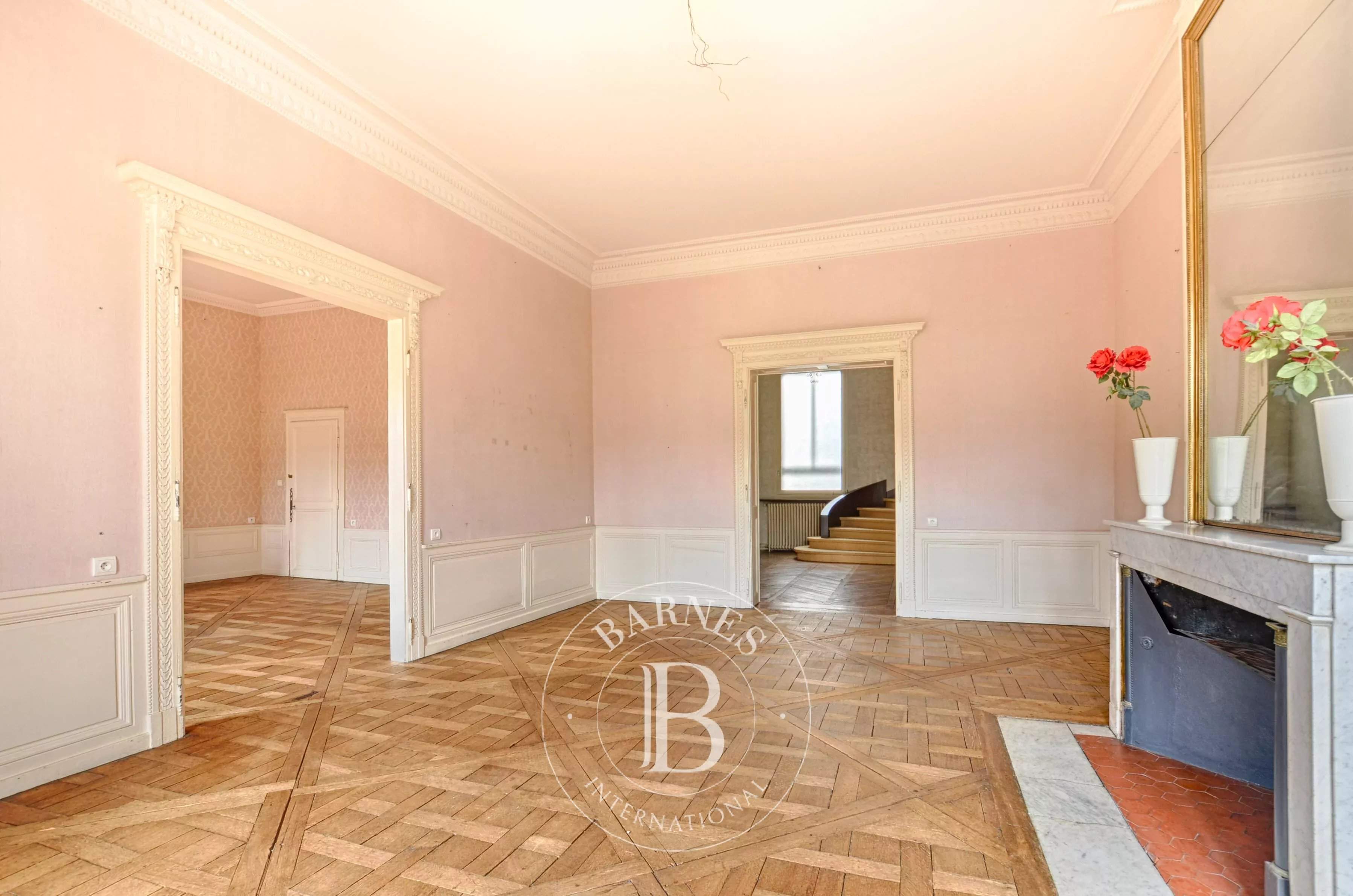 Nancy  - Hôtel particulier 11 Pi&egrave;ces 6 Chambres - picture 14