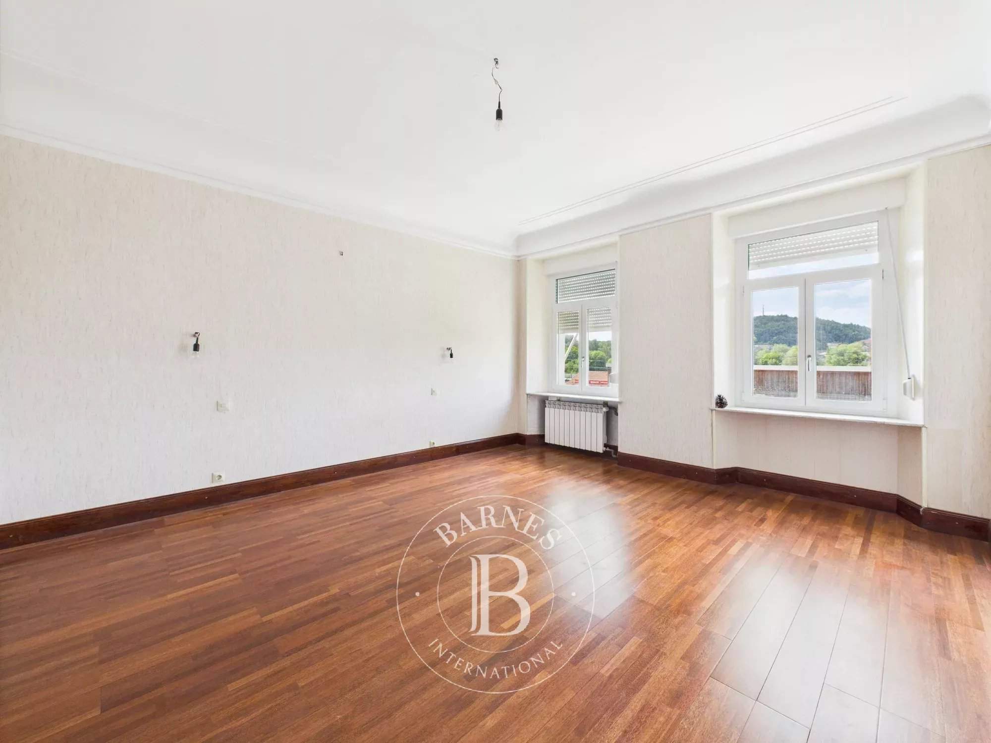 Audun-le-Tiche  - Maison 10 Pi&egrave;ces 6 Chambres - picture 16