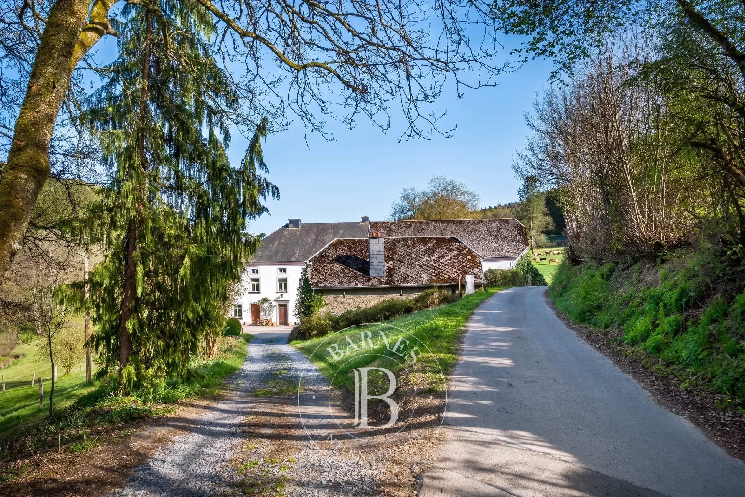 Sonlez  - Moulin  - picture 1