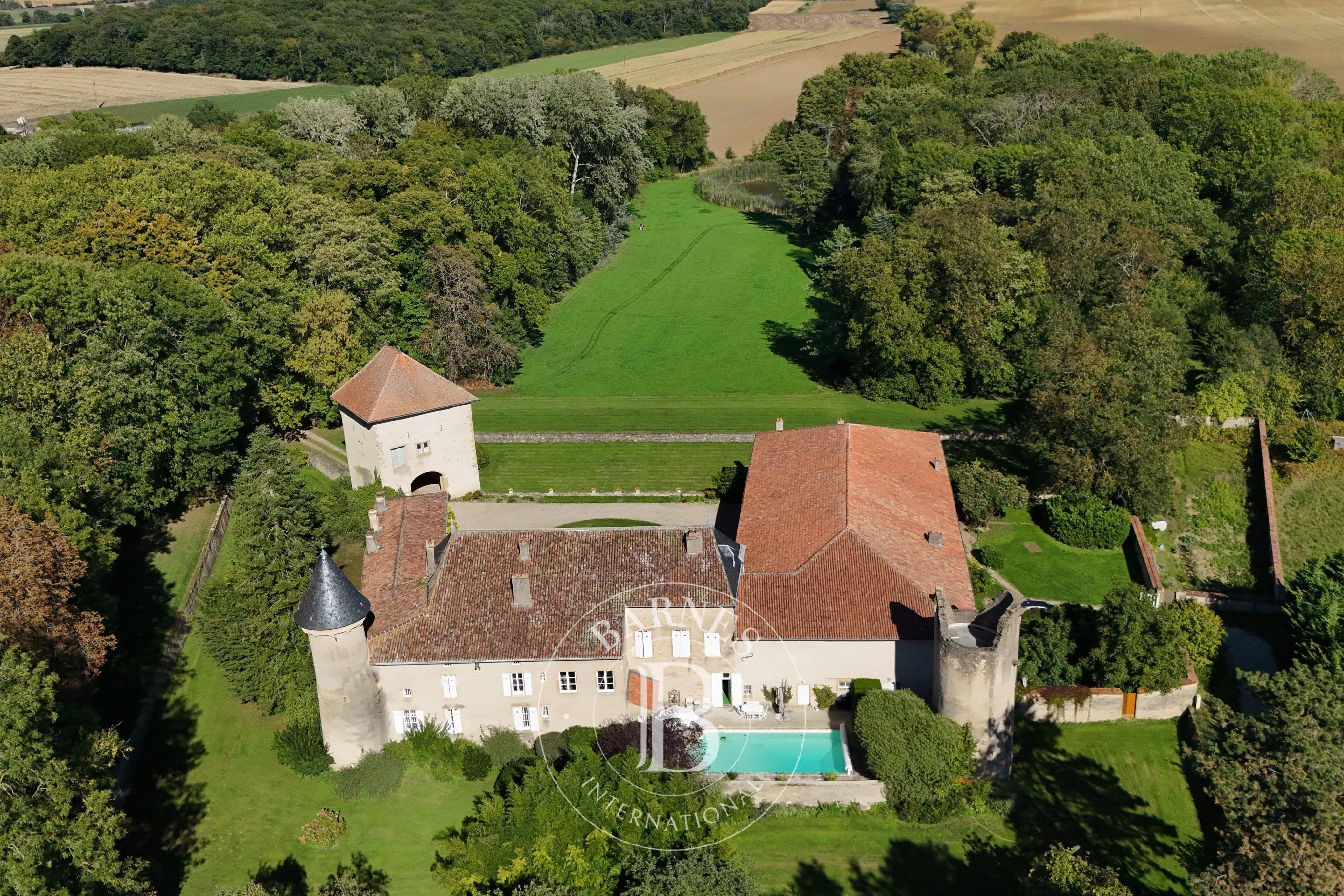 Lorry-Mardigny  - Castle 6 Bedrooms - picture 2