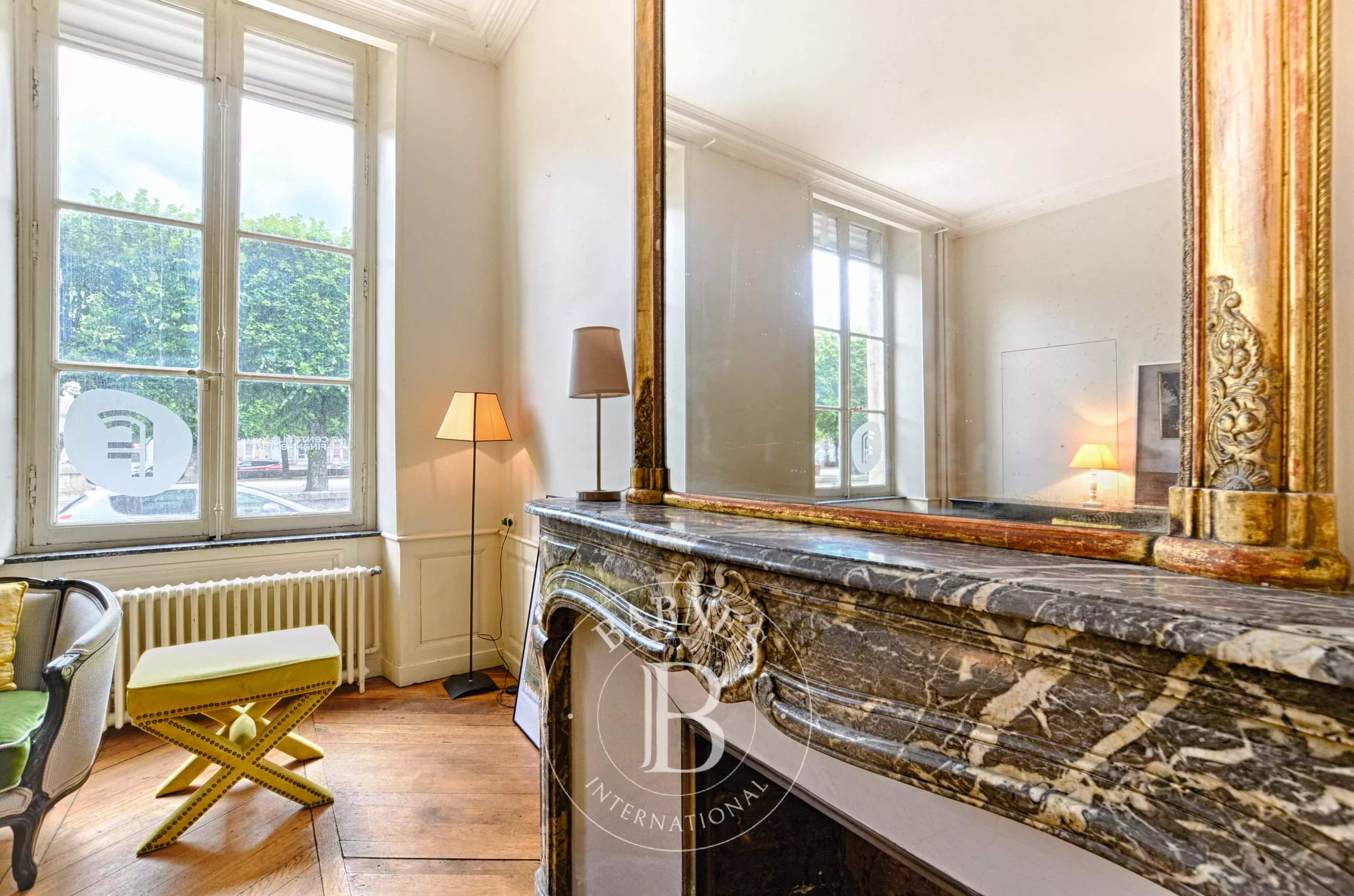 Nancy  - Hôtel particulier 11 Pi&egrave;ces 6 Chambres - picture 3