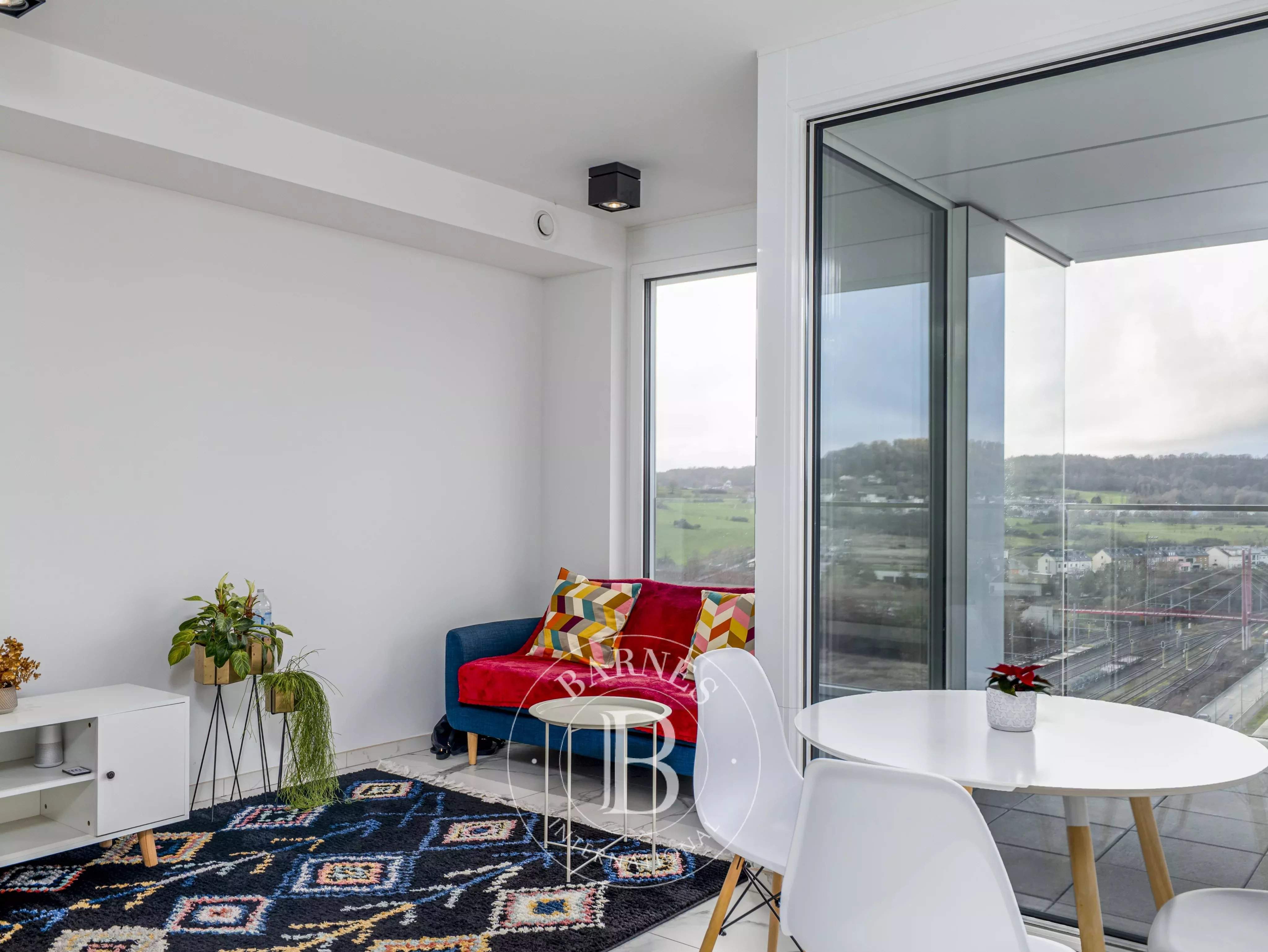 Belvaux  - Apartment 2 Bedrooms - picture 4