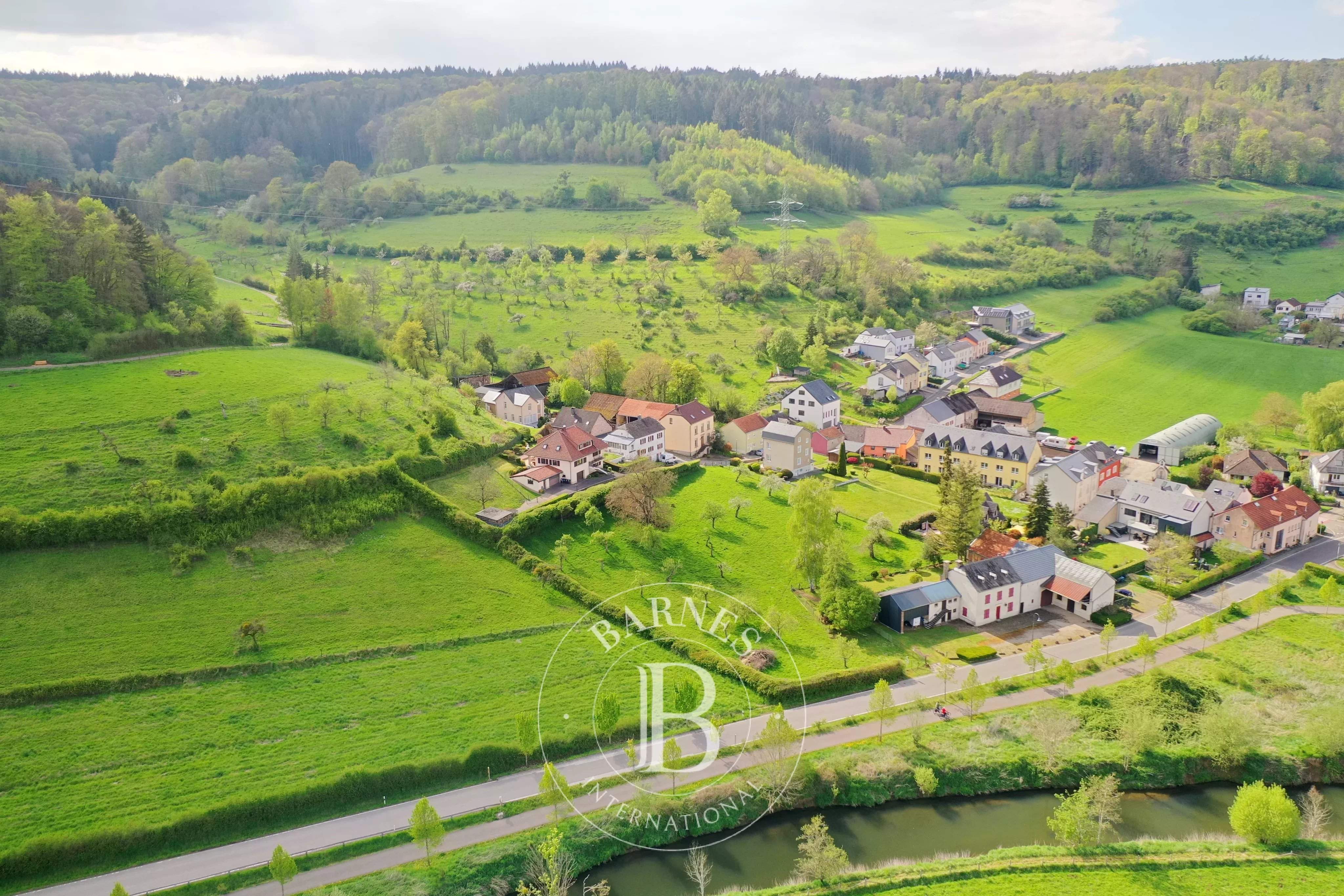 Prettingen  - Maison  - picture 5