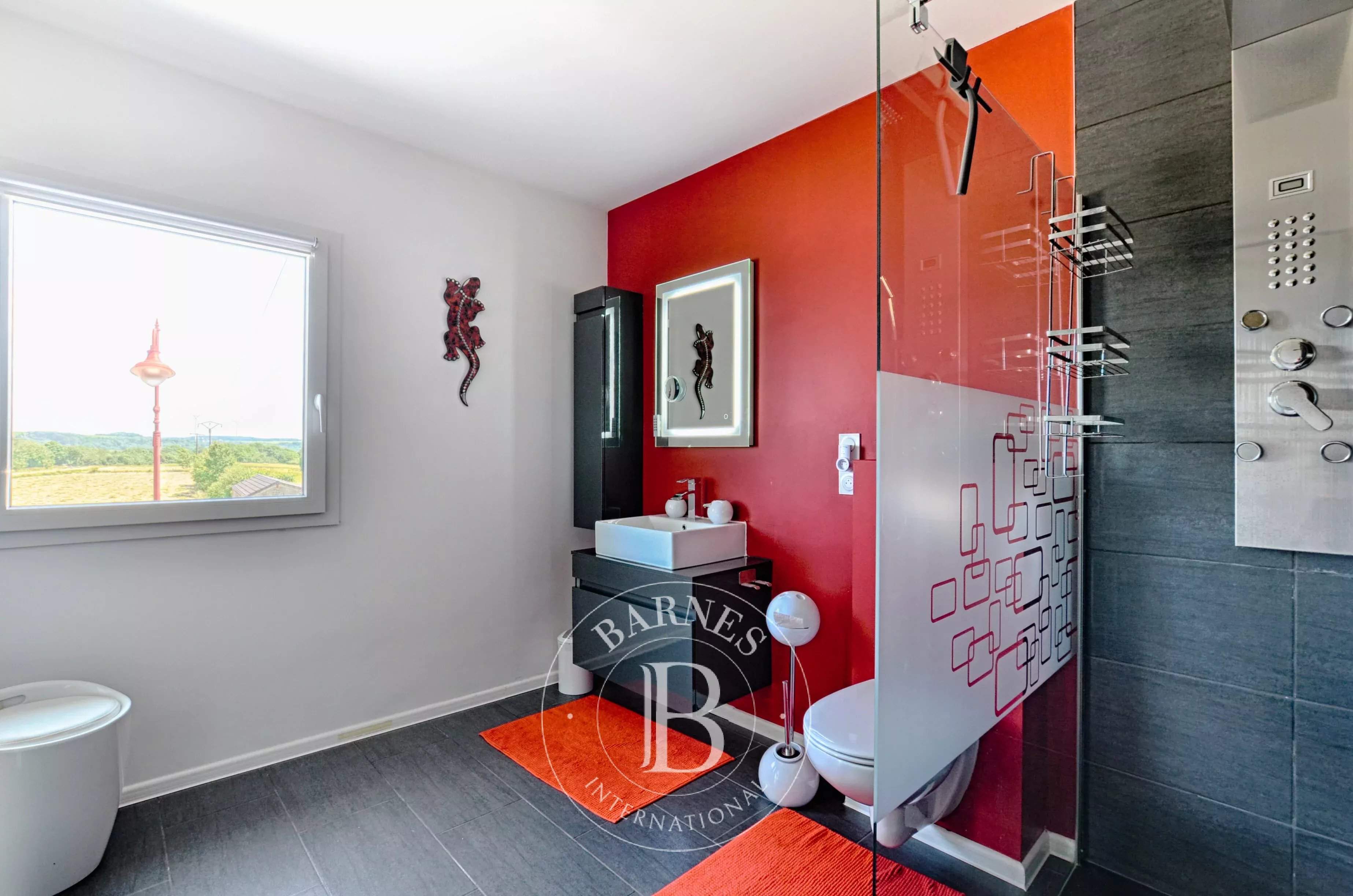 Thionville  - Villa 8 Pi&egrave;ces 4 Chambres - picture 15