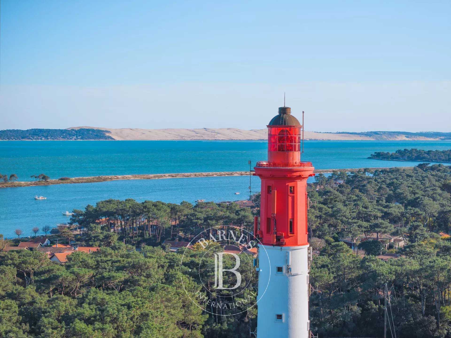 Negocio Lège-Cap-Ferret  -  ref 86425968 (picture 1)