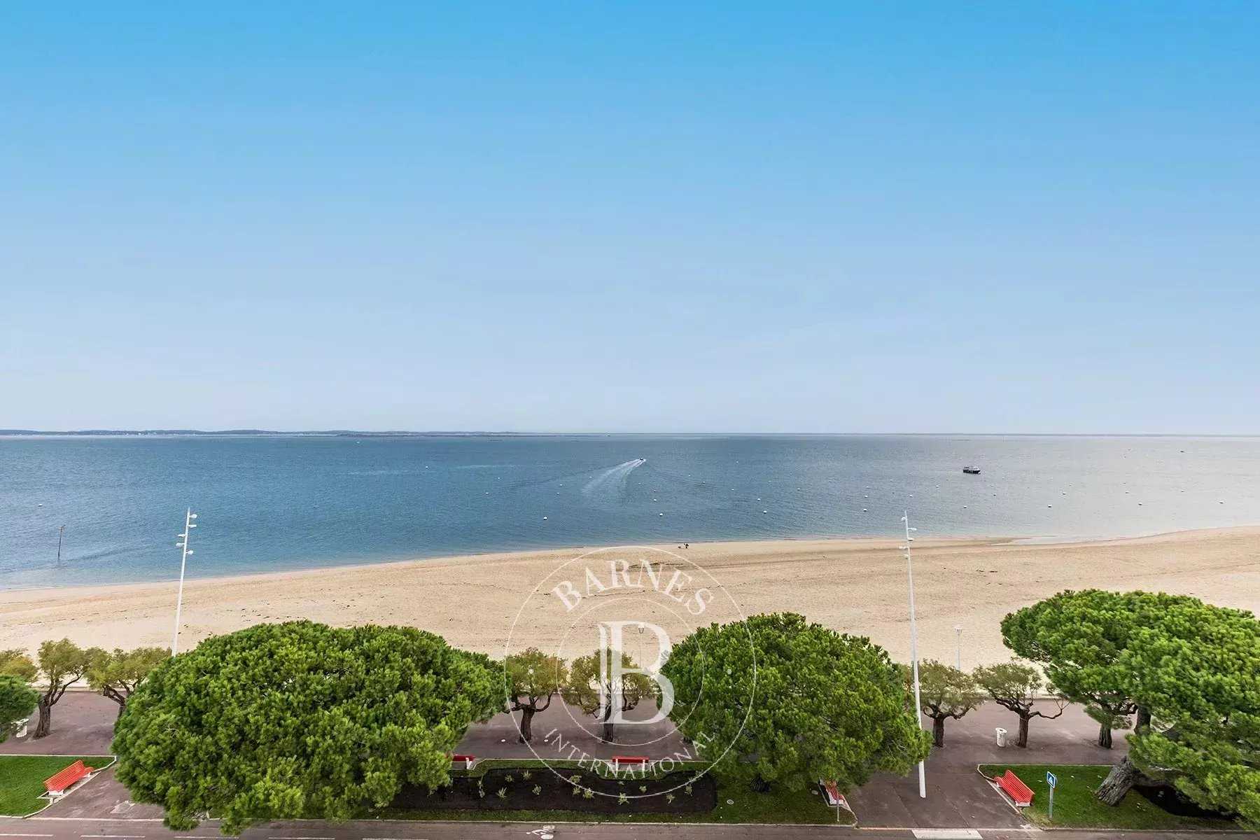 Apartment Arcachon  -  ref 83025782 (picture 1)