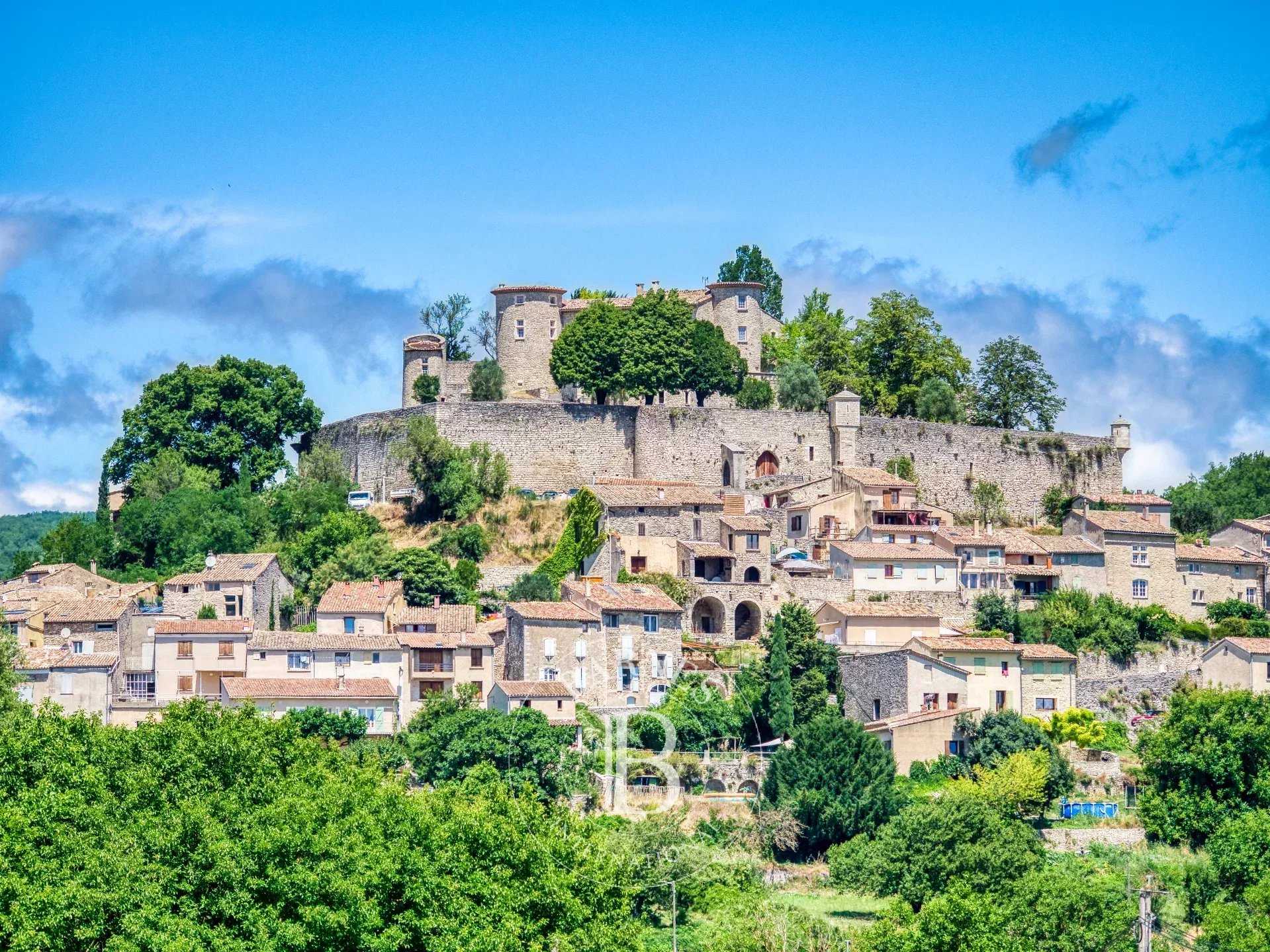 Forcalquier  - Château 15 Pièces 6 Chambres