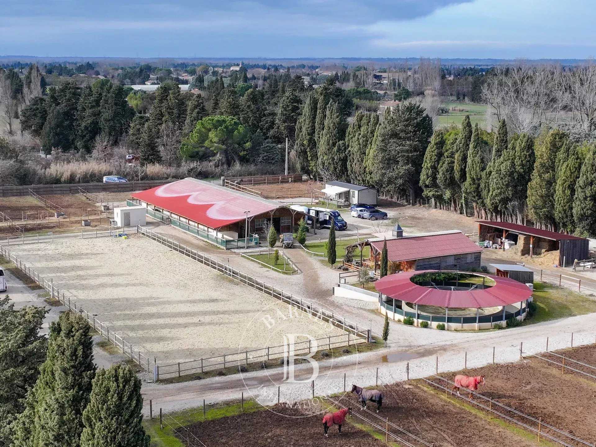 Domaine équestre Mollégès