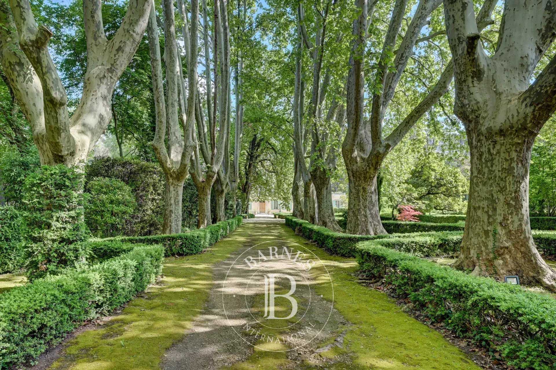Saint-Rémy-de-Provence  - Property 9 Bedrooms
