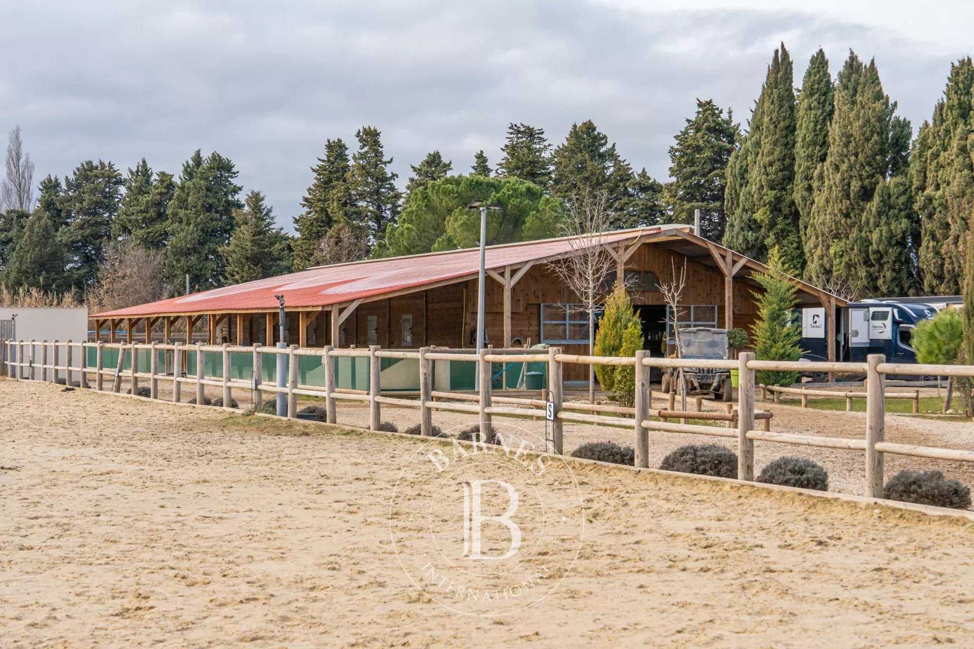 Mollégès  - Domaine équestre 