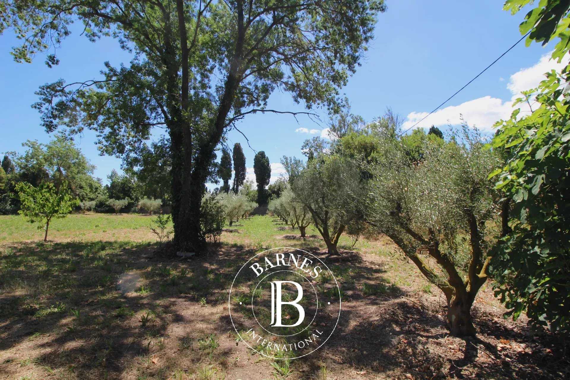 House Saint-Rémy-de-Provence  -  ref 87069235 (picture 3)