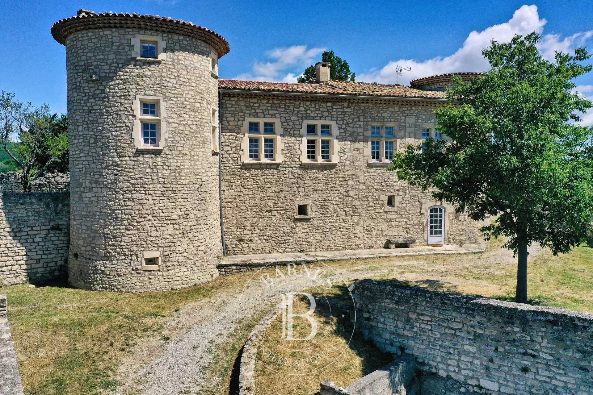 Château Forcalquier  -  ref 84221712 (picture 3)
