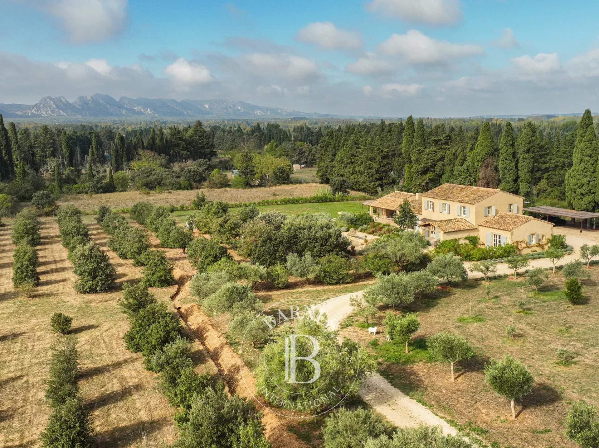 Eygalières  - House 6 Bedrooms - picture 1