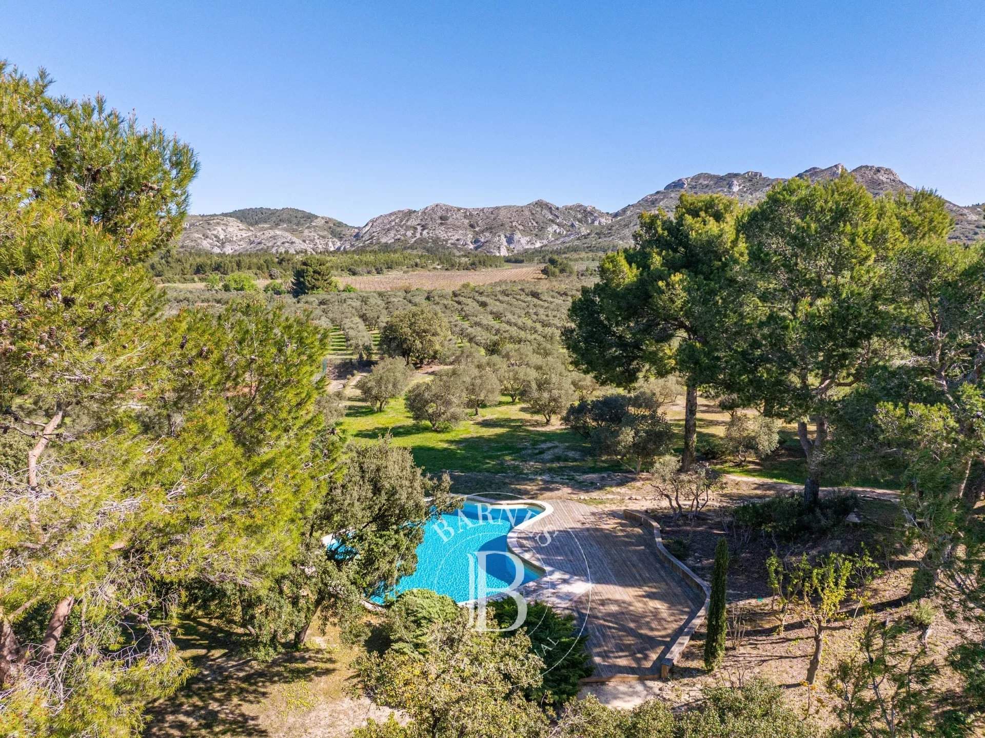Les Baux-de-Provence  - Maison 11 Pi&egrave;ces 5 Chambres - picture 4