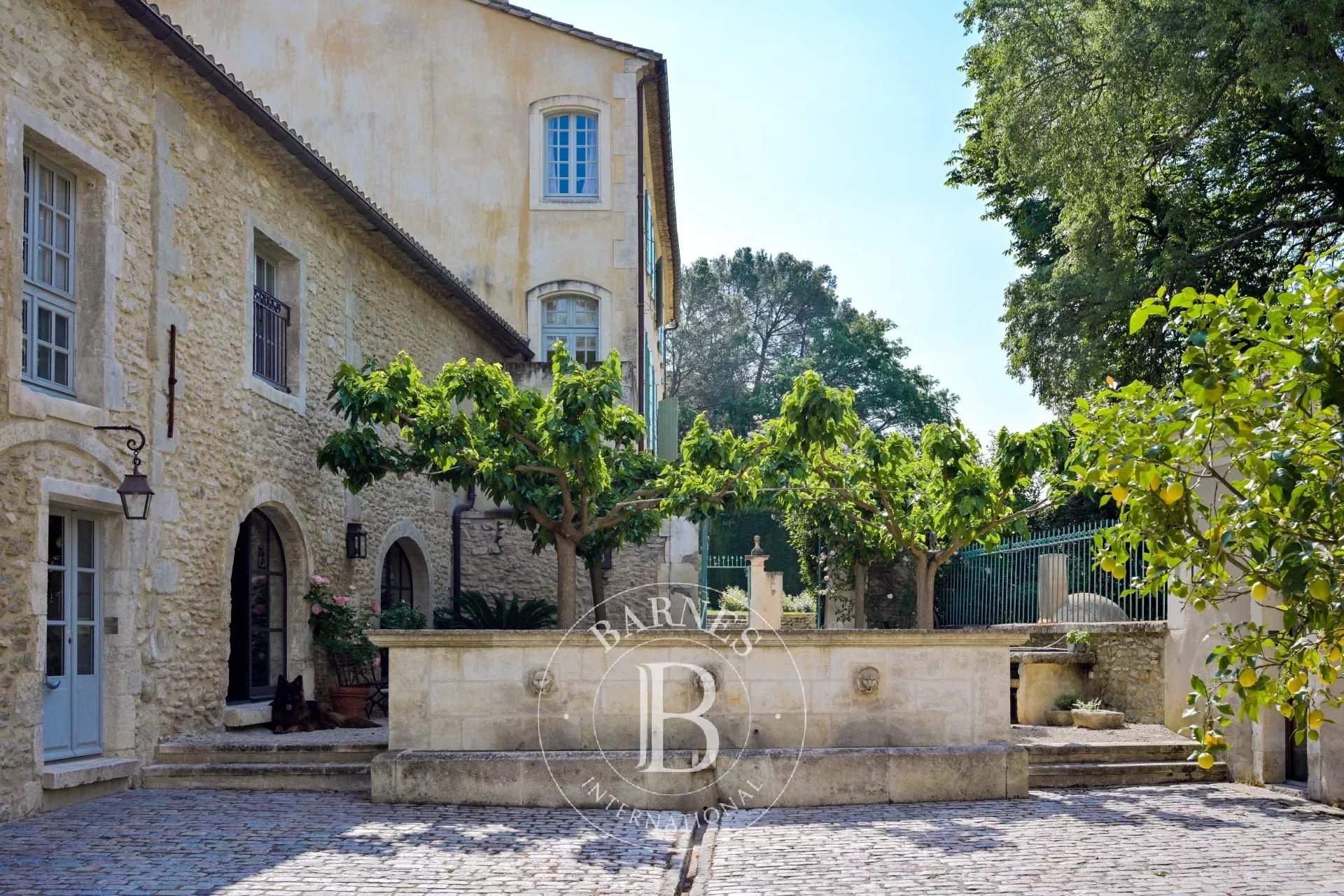 Saint-Rémy-de-Provence  - Property 9 Bedrooms - picture 10