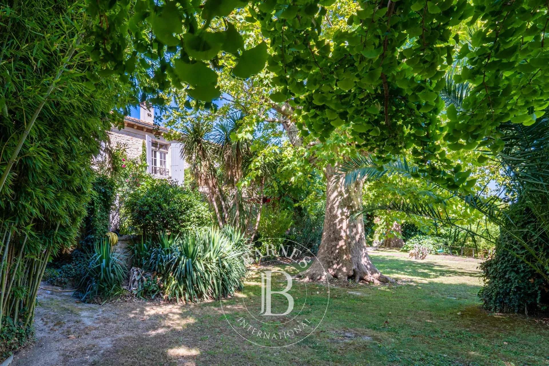 Saint-Pierre-de-Mézoargues  - Mas 4 Bedrooms - picture 12