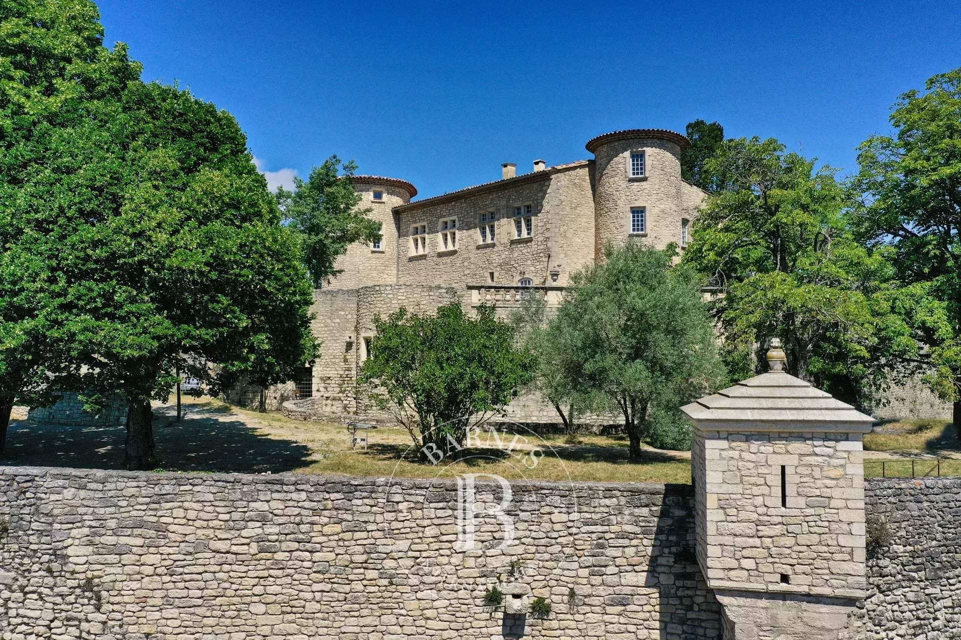 Forcalquier  - Château 15 Pièces 6 Chambres - picture 4