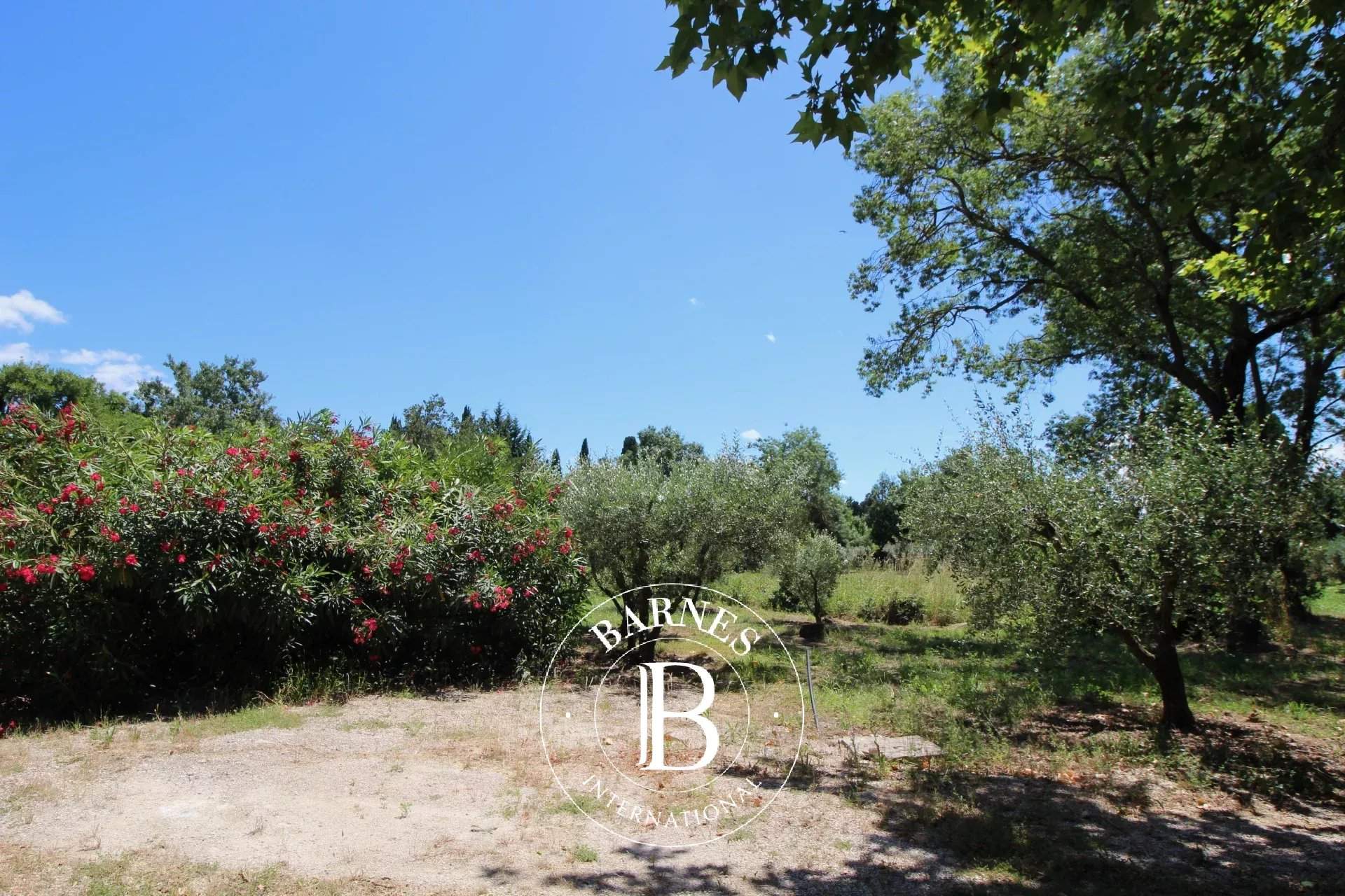 Saint-Rémy-de-Provence  - House  - picture 5