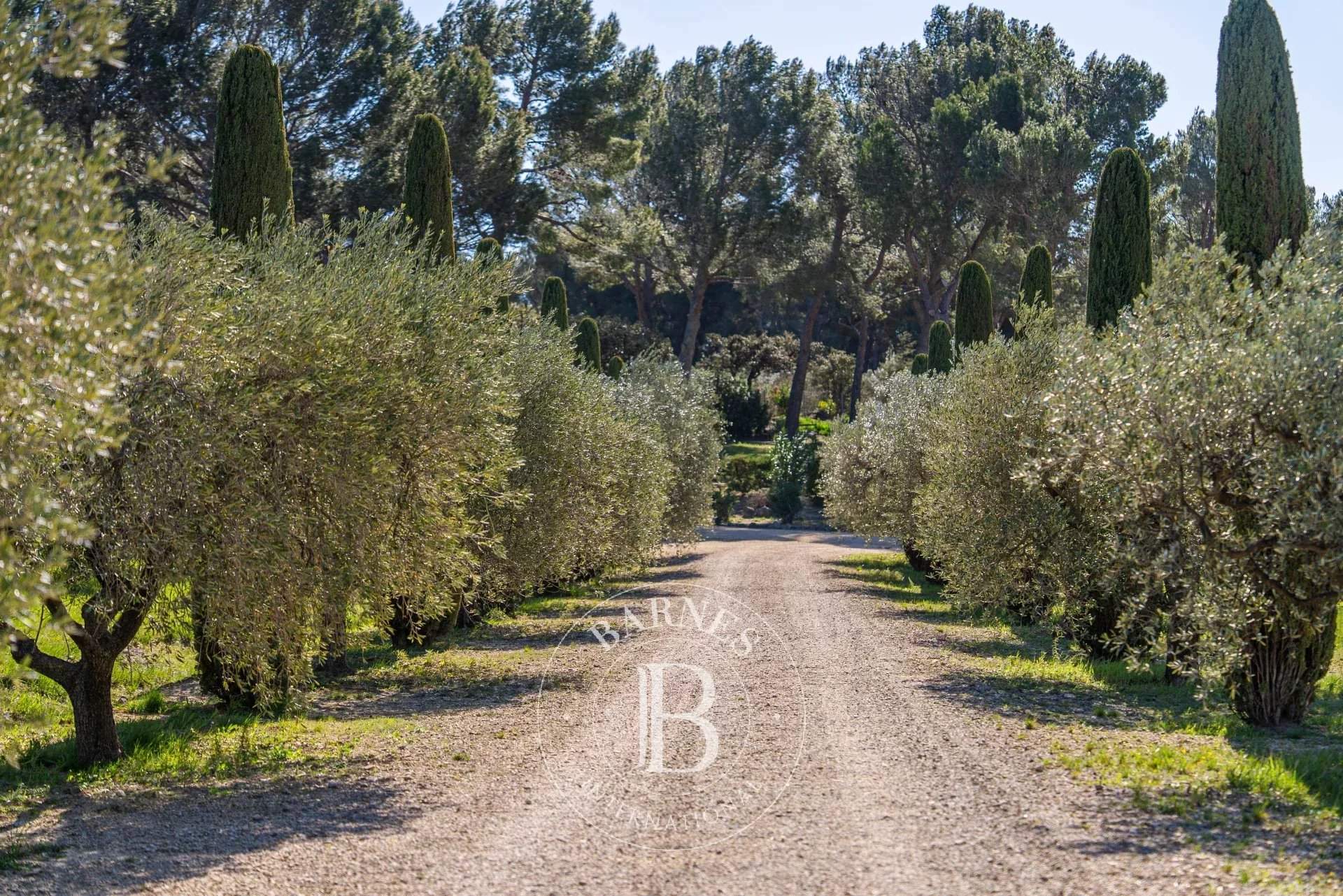 Les Baux-de-Provence  - Maison 11 Pi&egrave;ces 5 Chambres - picture 8