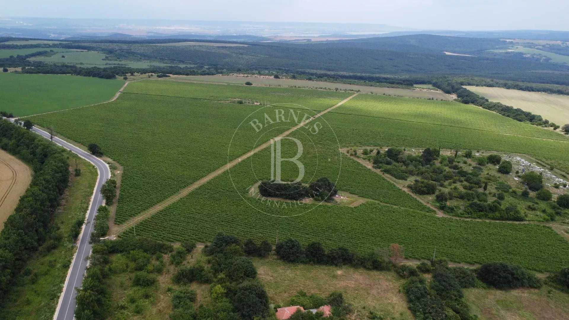 Varna  - Agricultural exploitation 