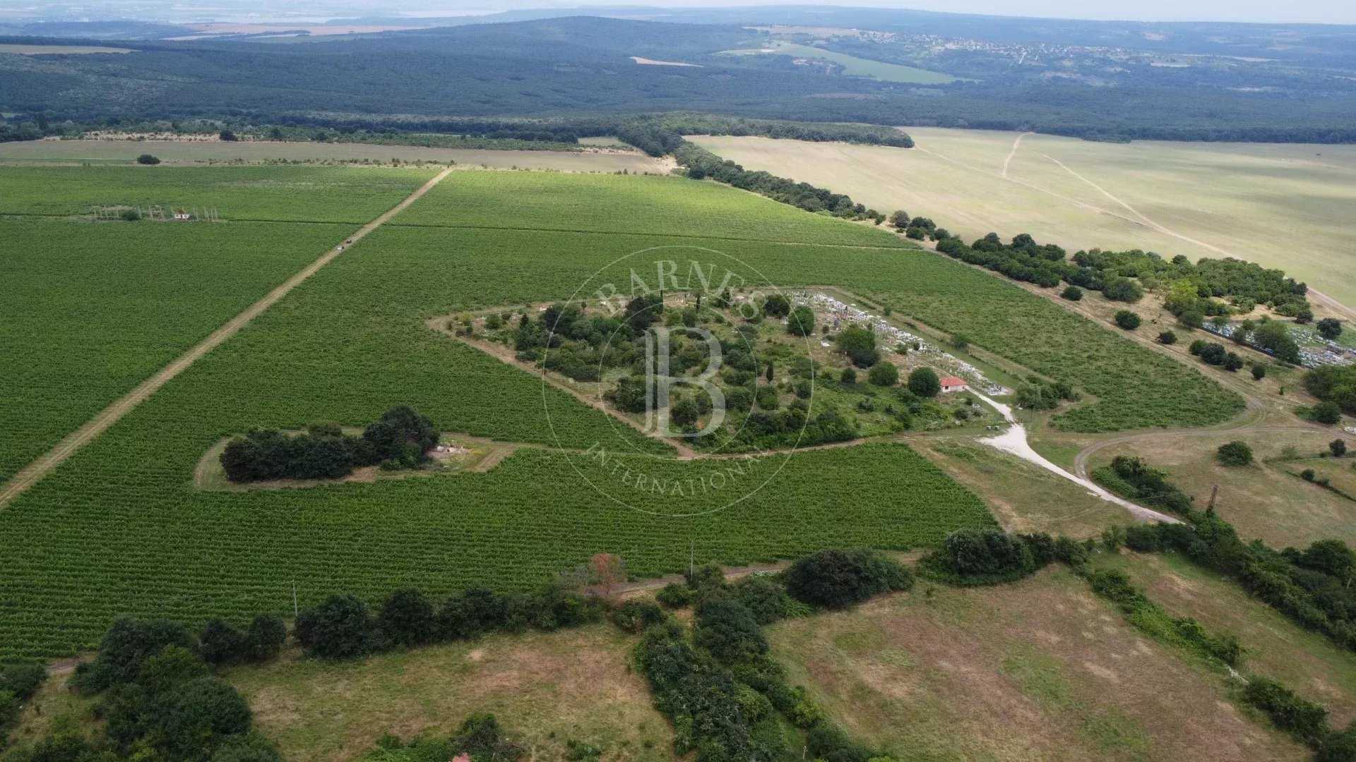 Varna  - Agricultural exploitation 
