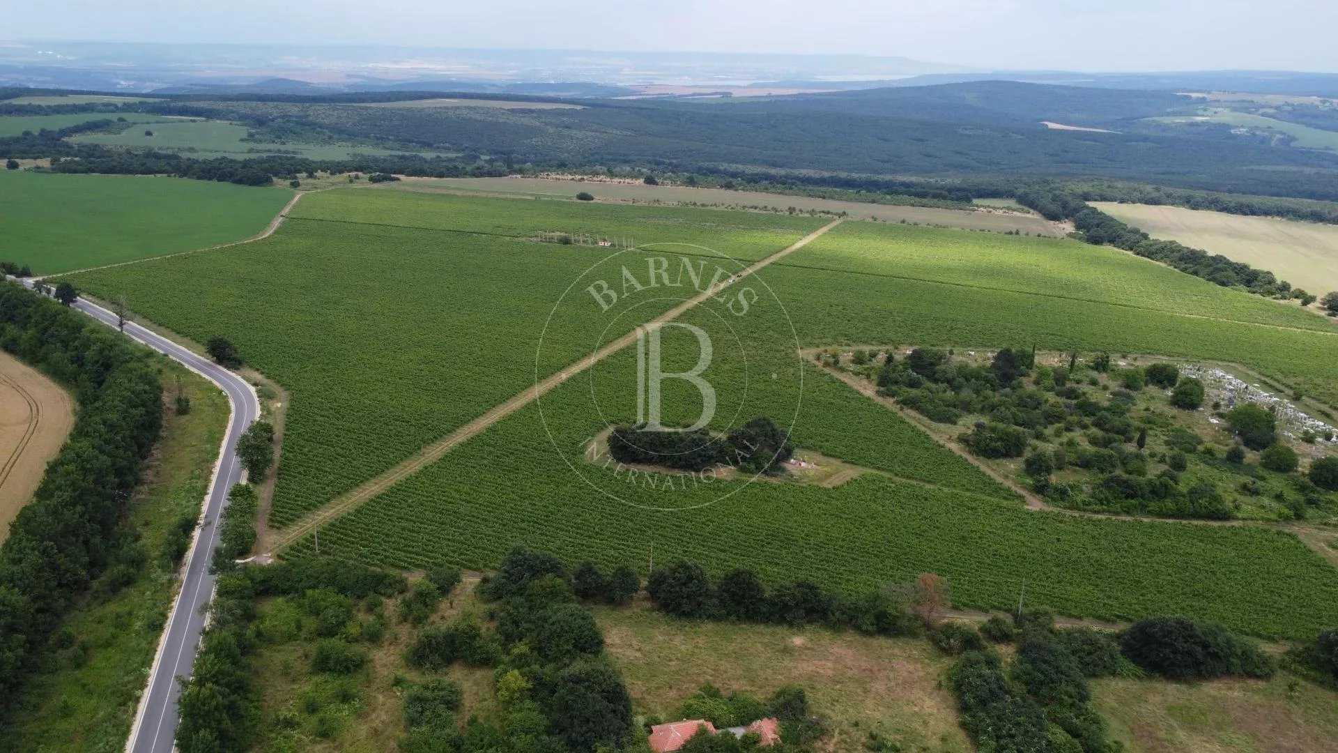 Varna  - Exploitation agricole 