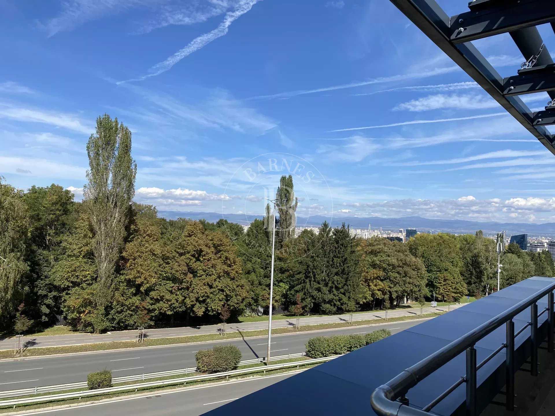 Sofia  - Apartment 2 Bedrooms