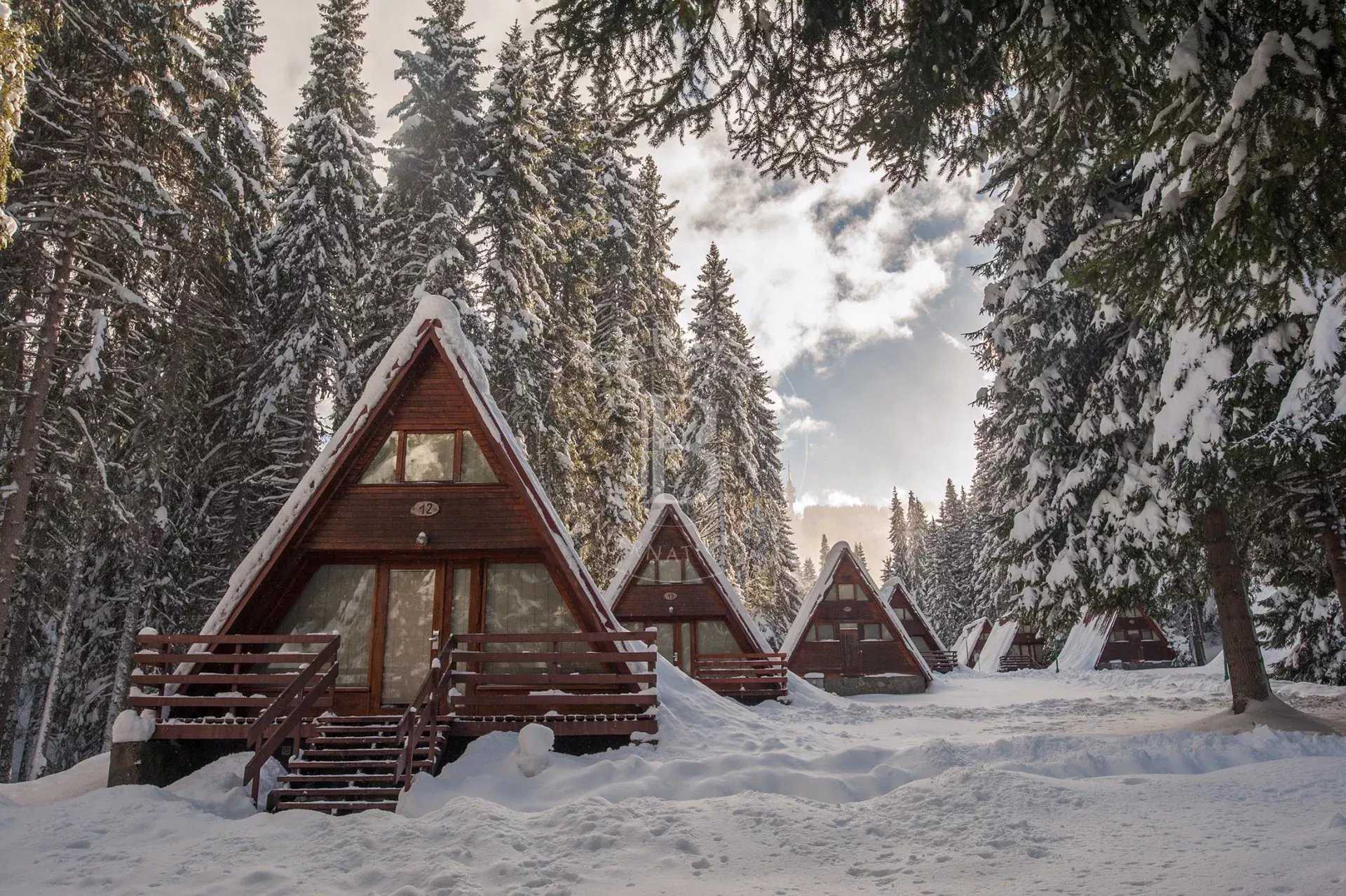 Pamporovo  - Business 