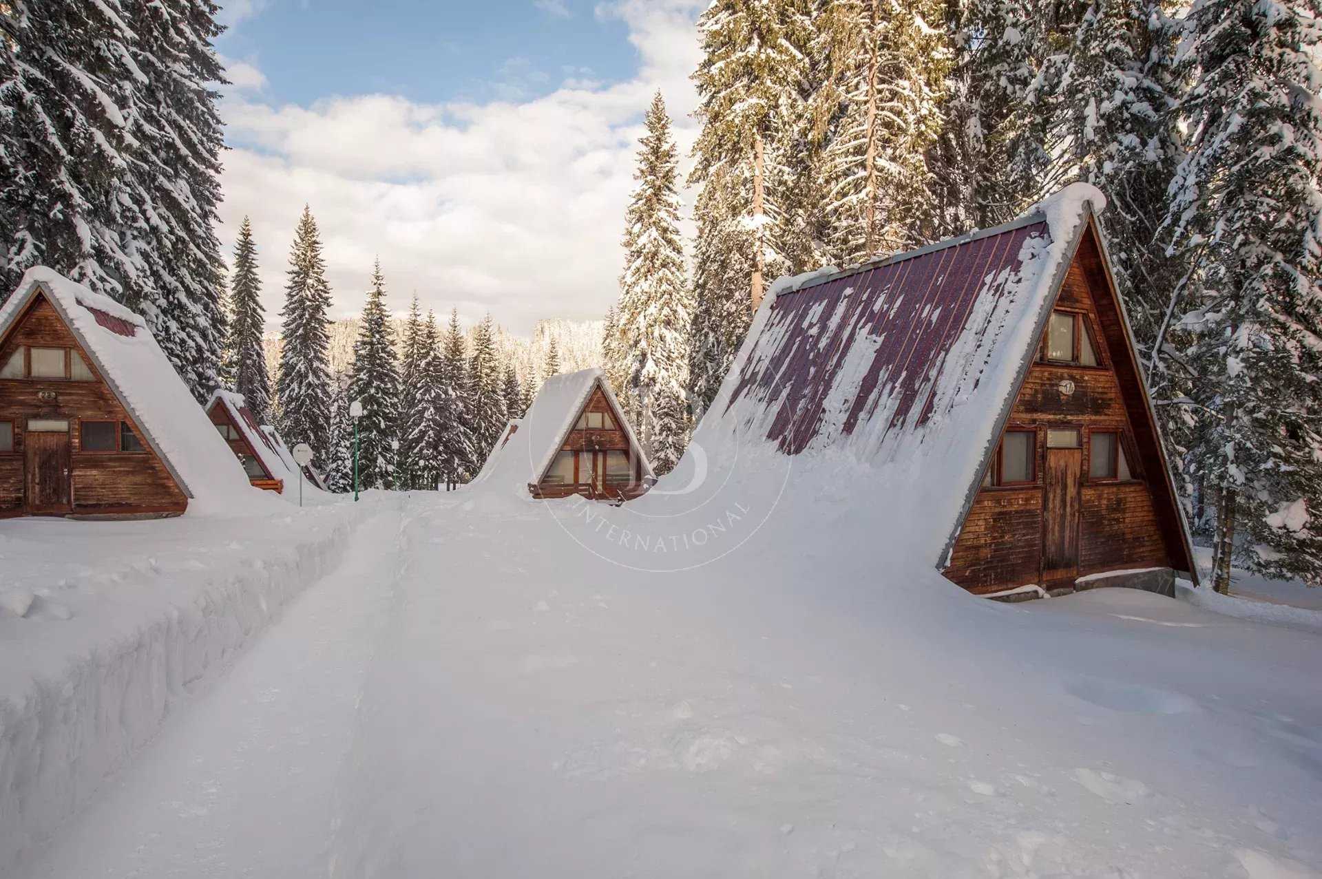 Pamporovo  - Business 