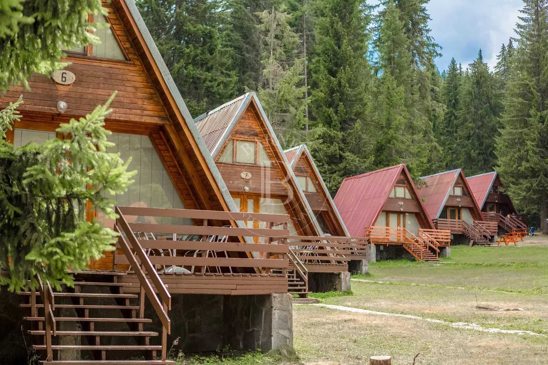 Pamporovo  - Business 